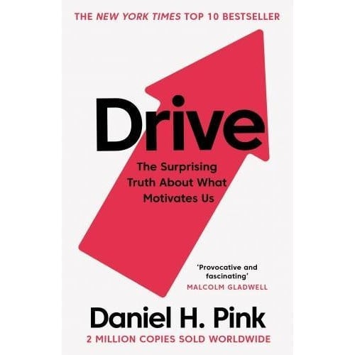 Drive: The Surprising Truth About What Motivates Us by Daniel H Pink PAPERBACK - Image 17