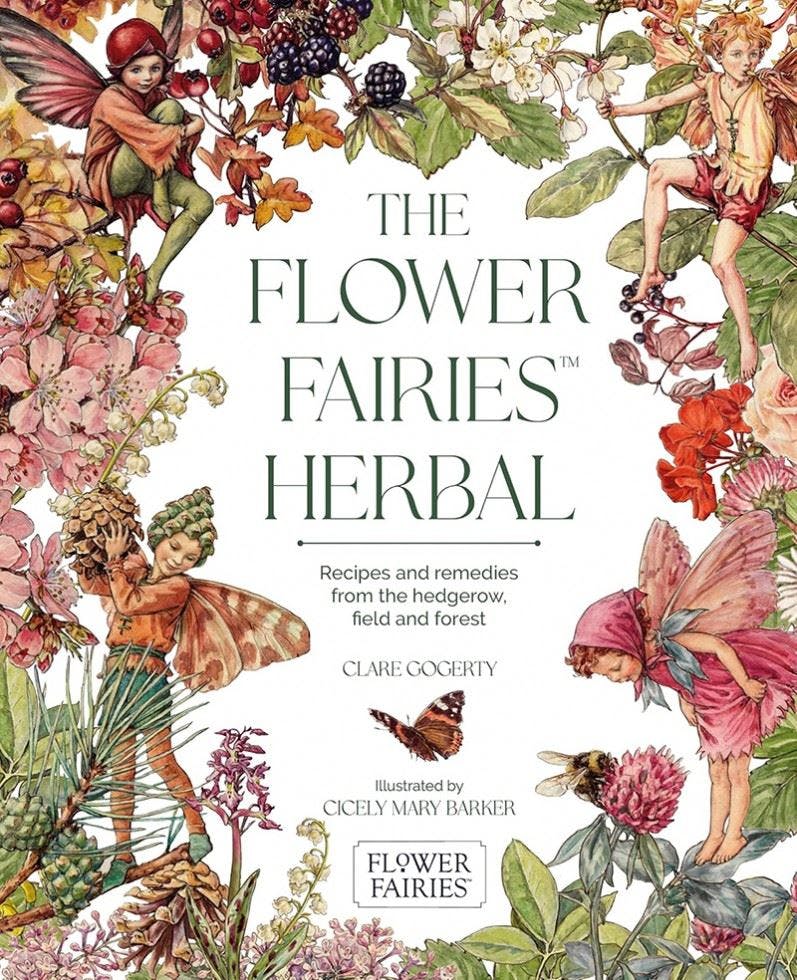 Search Press The Flower Fairies Herbal - Cicely Mary Barker - Image 9