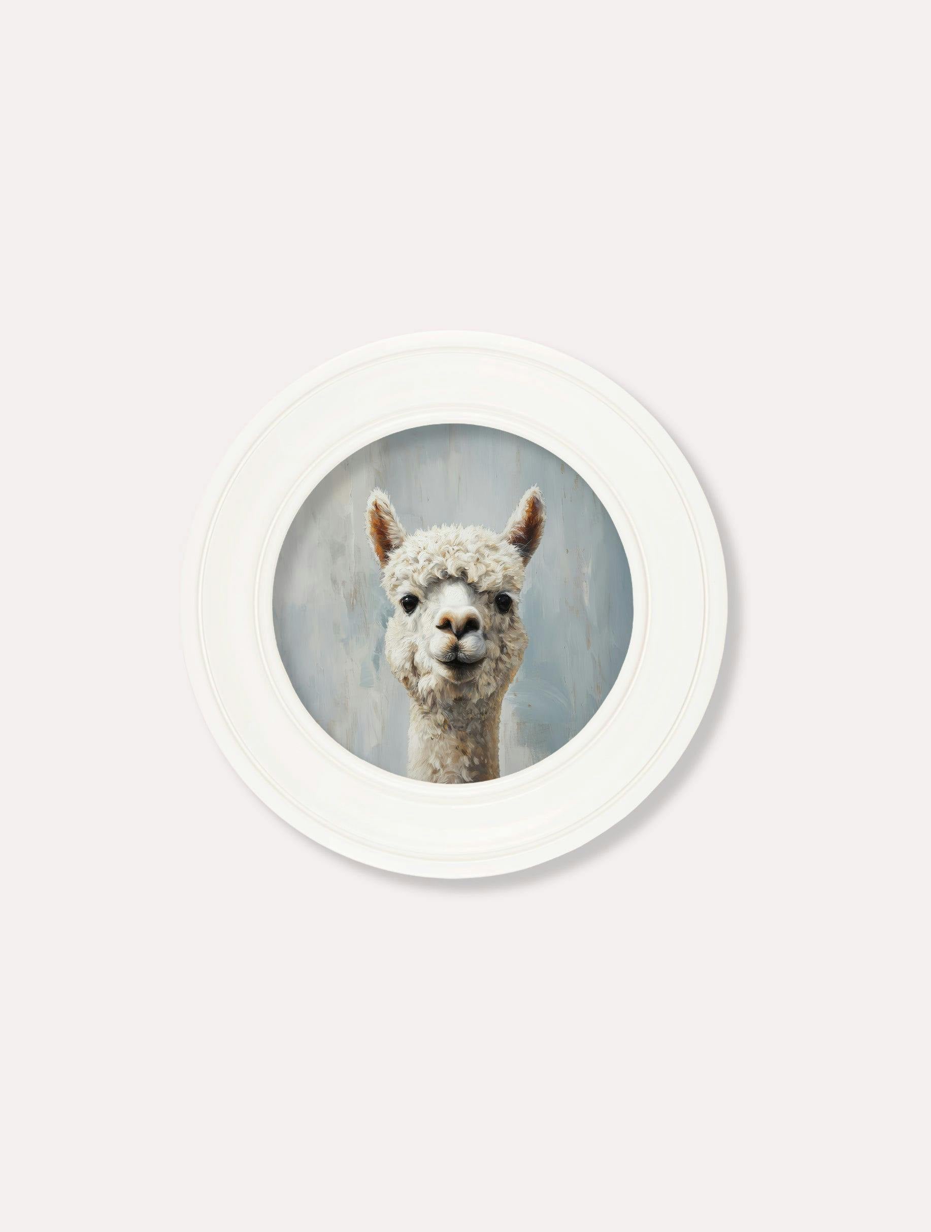 Exceptional Art White The Goofy Alpaca - Oxford Strong Round Frame - The Goofy Alpaca - 44 X 44 Cm