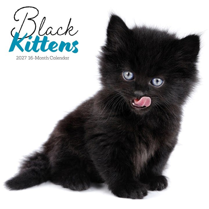 Black Kittens Calendar 2027, Wall Calendars, Month To View, Cats, Gift - Image 3