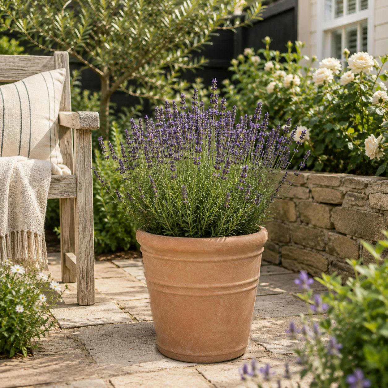 B&Q - Tuscany Plant Pot 36X36X35CmTerracotta - Image 2