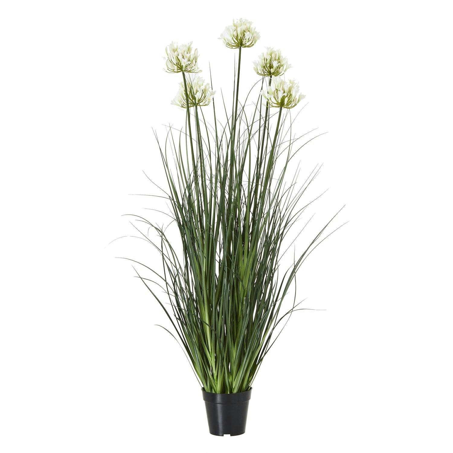 Wyld Haus Unisex White Artificial Agapanthus Plant In Black Pot 120Cm - Image 2