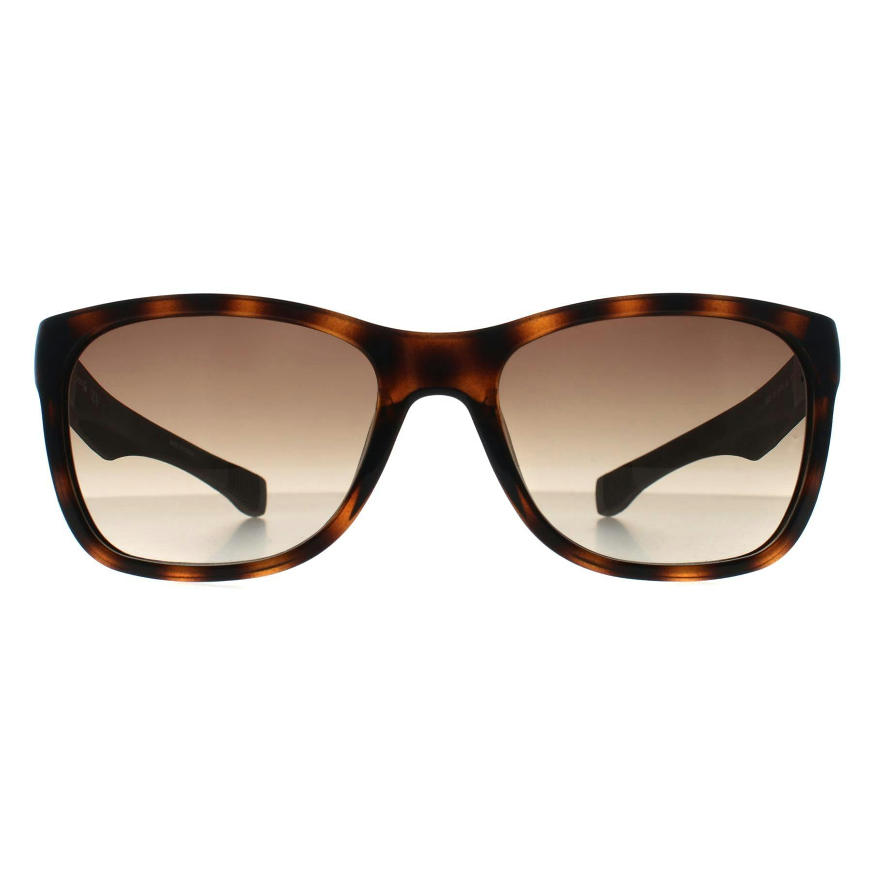 Lacoste Brown Sunglasses L662s 214 Havana Gradient