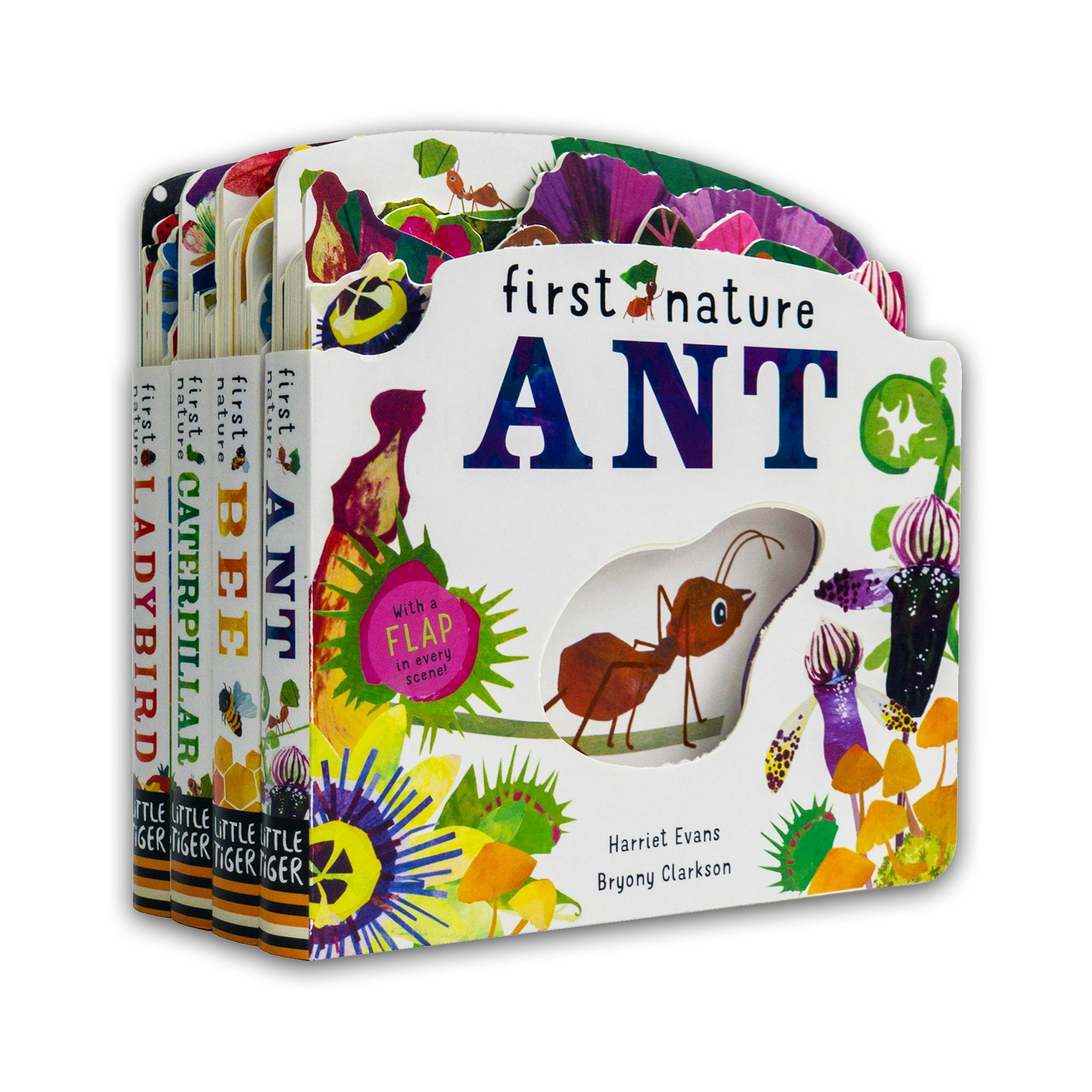 Little Tiger First Nature 4 Books Childrens Collection Set (Ant, Bee, Caterpillar & Ladybird)
