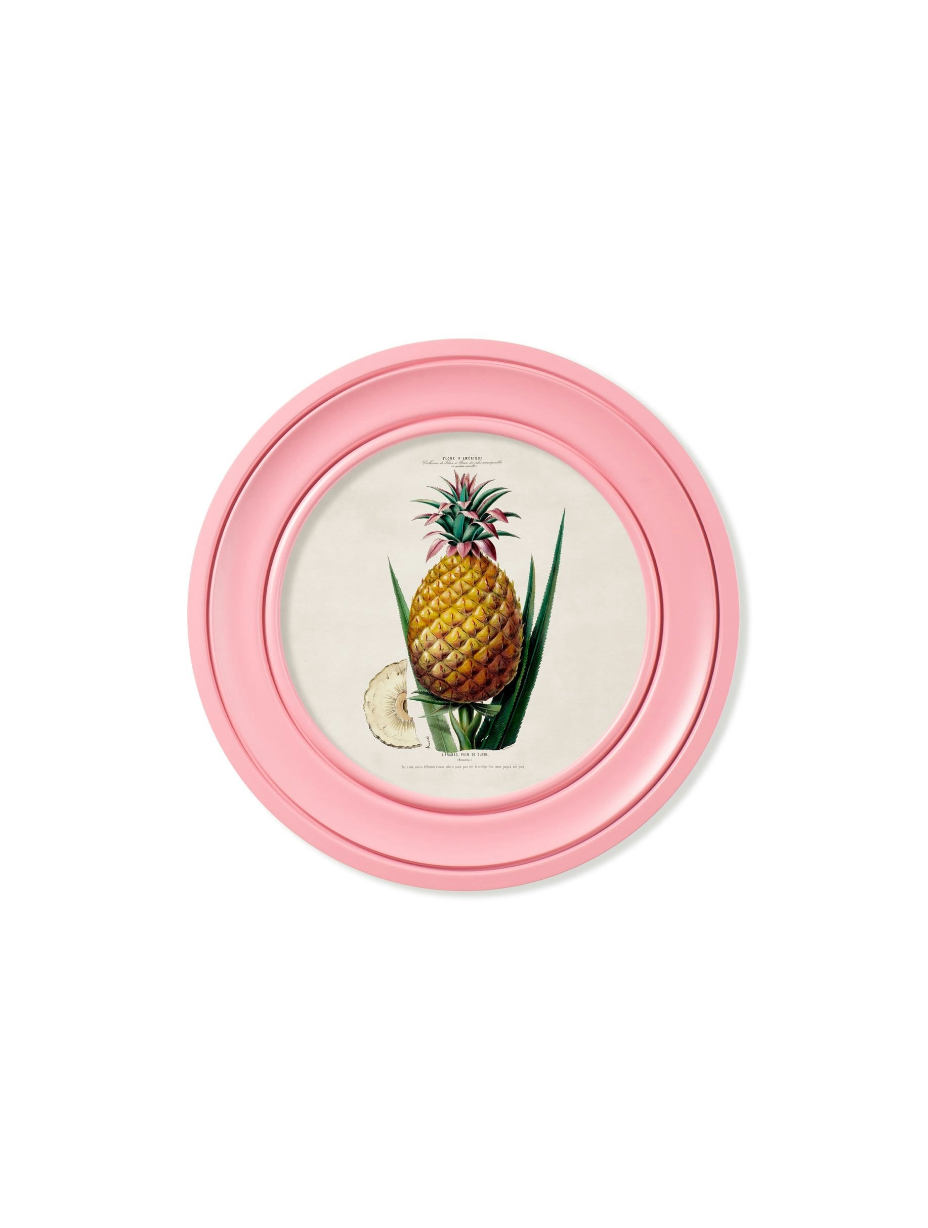 Rackhams Pink C.1843 Pineapple Plant - Round Frame - 44 X 44Cm - Framed Print