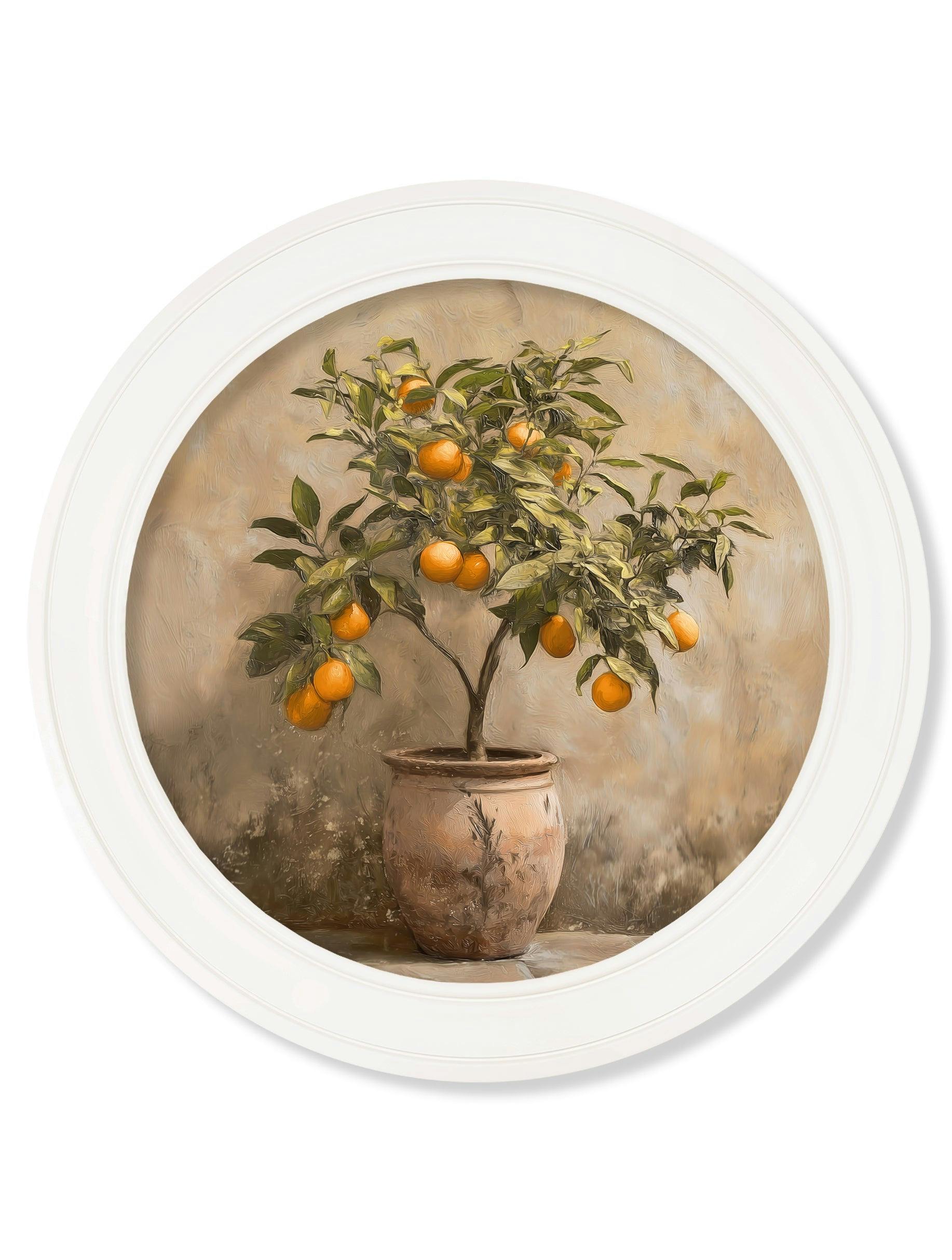 Rackhams Orange/White Mediterranean Tree - Oxford Strong Round Frame - Oxford Strong Round - Mediterranean Tree - 70 X 70Cm