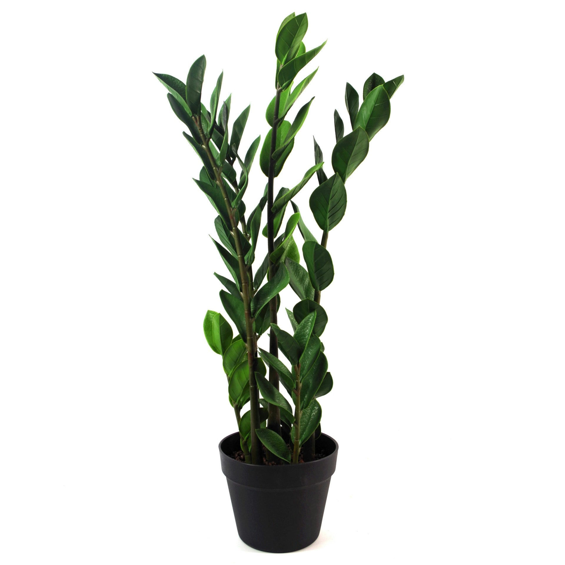 Leaf Zanzibar Gem Foliage Artificial Plant Pot 75cm - Green - Image 5