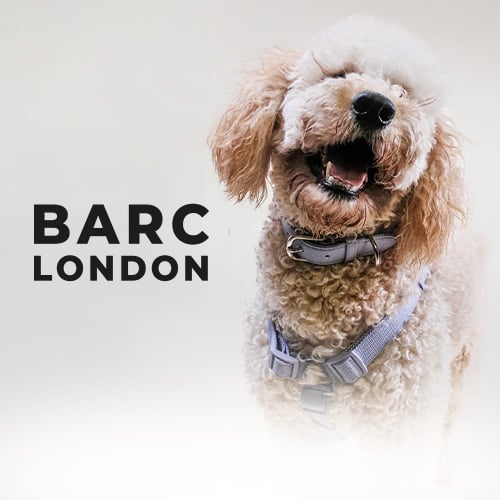 Barc London