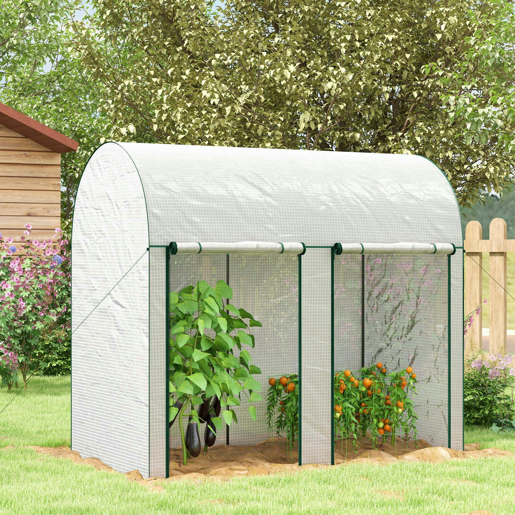 Rackhams 200 X 100 X 178Cm Small Tomato Greenhouse With Roll-Up Zipped Doors