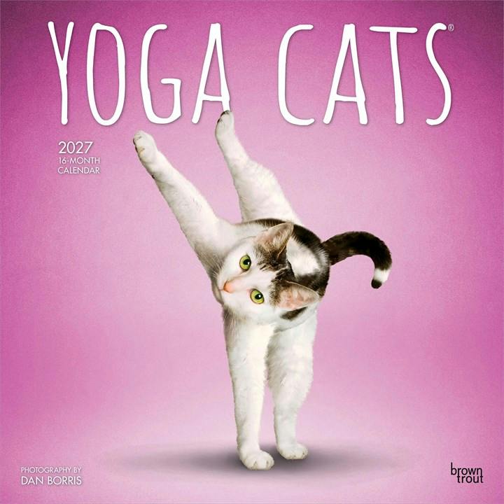 Yoga Cats Calendar 2027 - Image 7