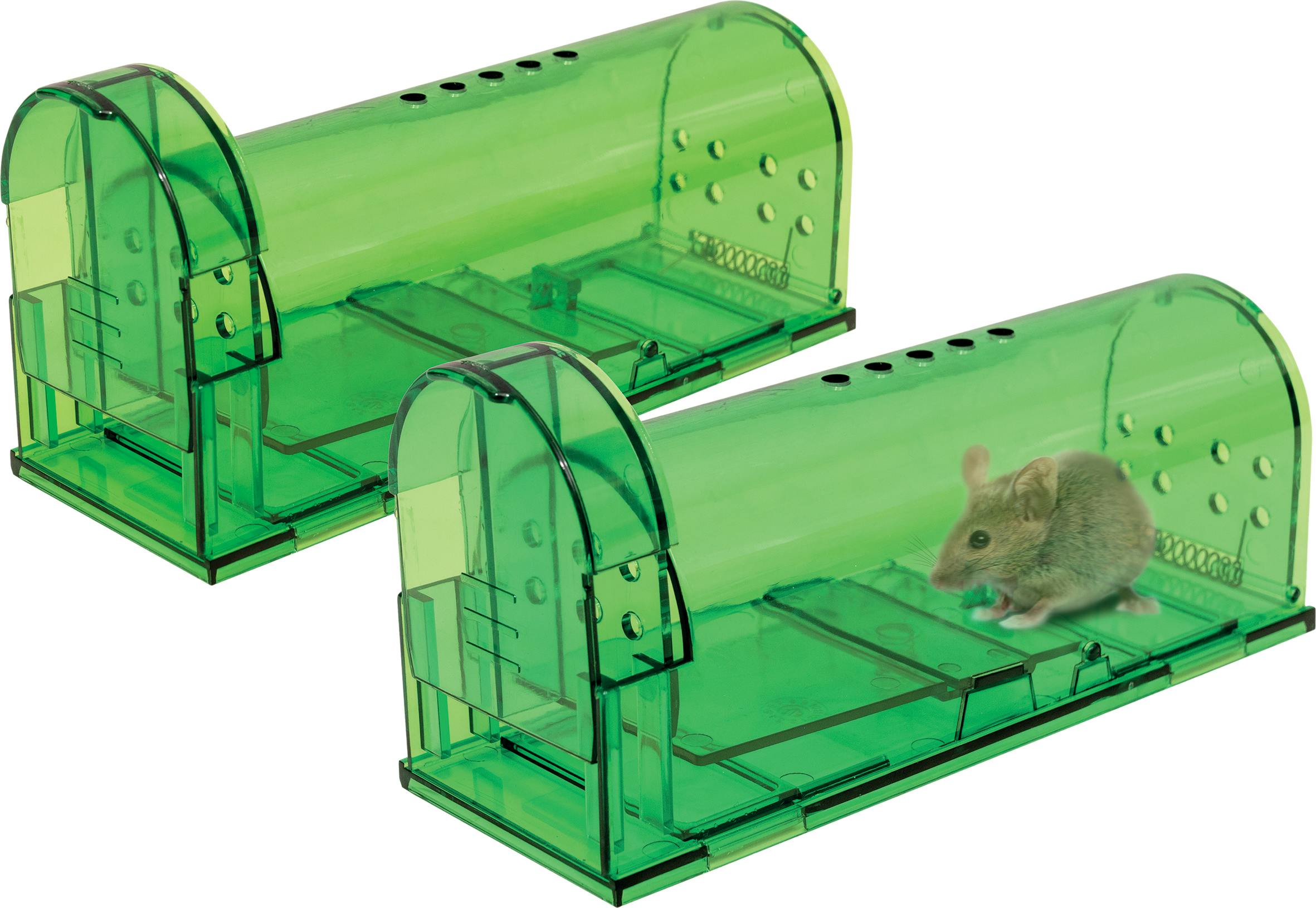 St Helens Home And Garden Small Humane Trap To Catch Mice And Other Rodents - Pack Of 2