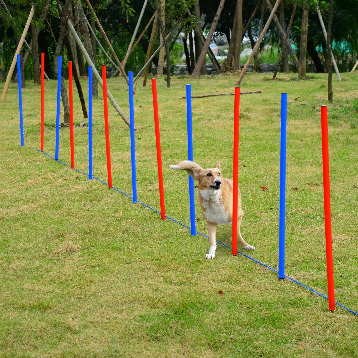 Pawhut Pet Agility Set Training Dogs Outdoor Outward Play Adjustable Pole