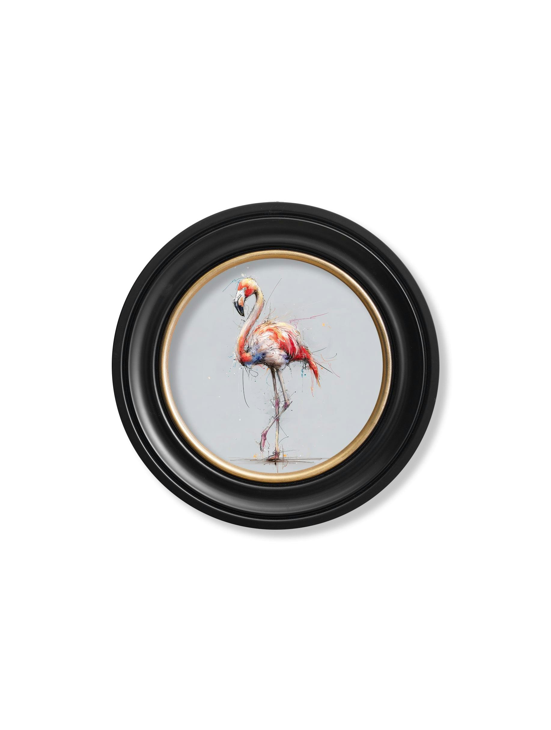 Rackhams Pink Flamingo Cosy Sketch - Oxford Round Frame - 44 X 44Cm
