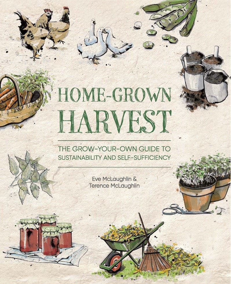 Home-Grown Harvest: The grow-your-own guide to sustainability an - Image 11