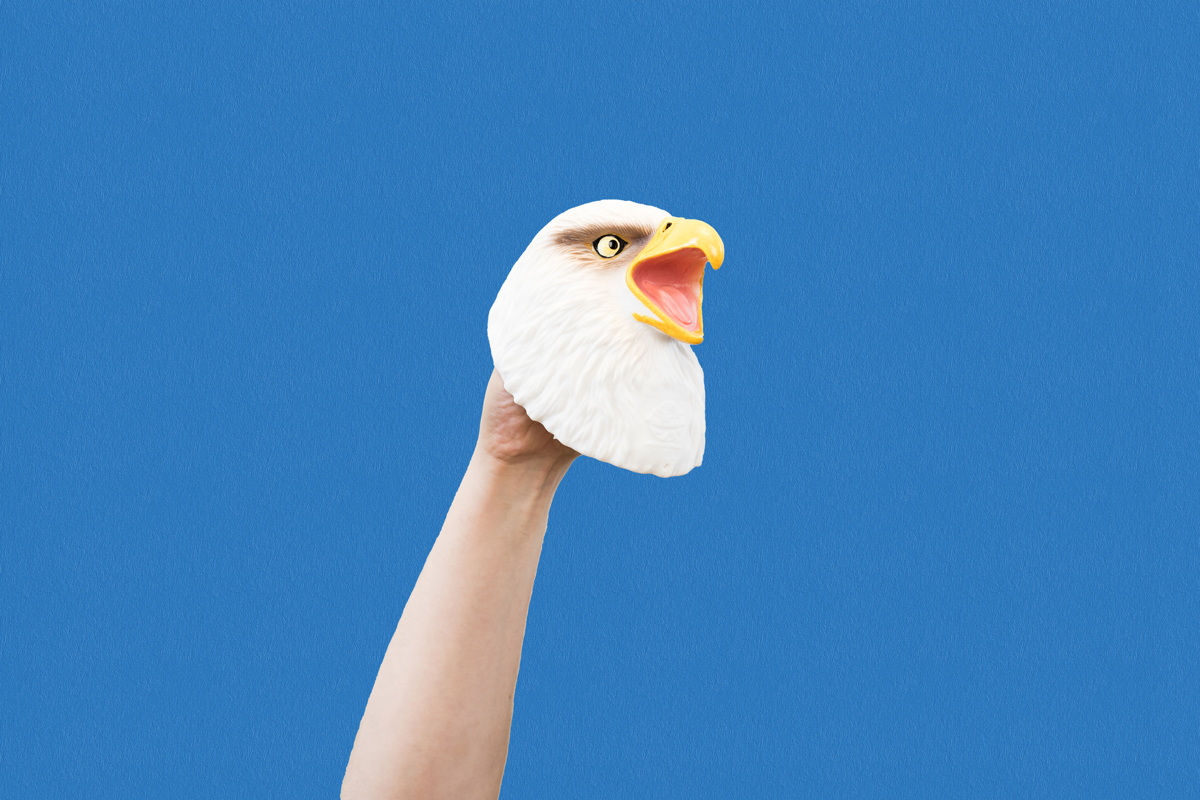 Wild Thingz White Eagle Hand Puppet - Image 4