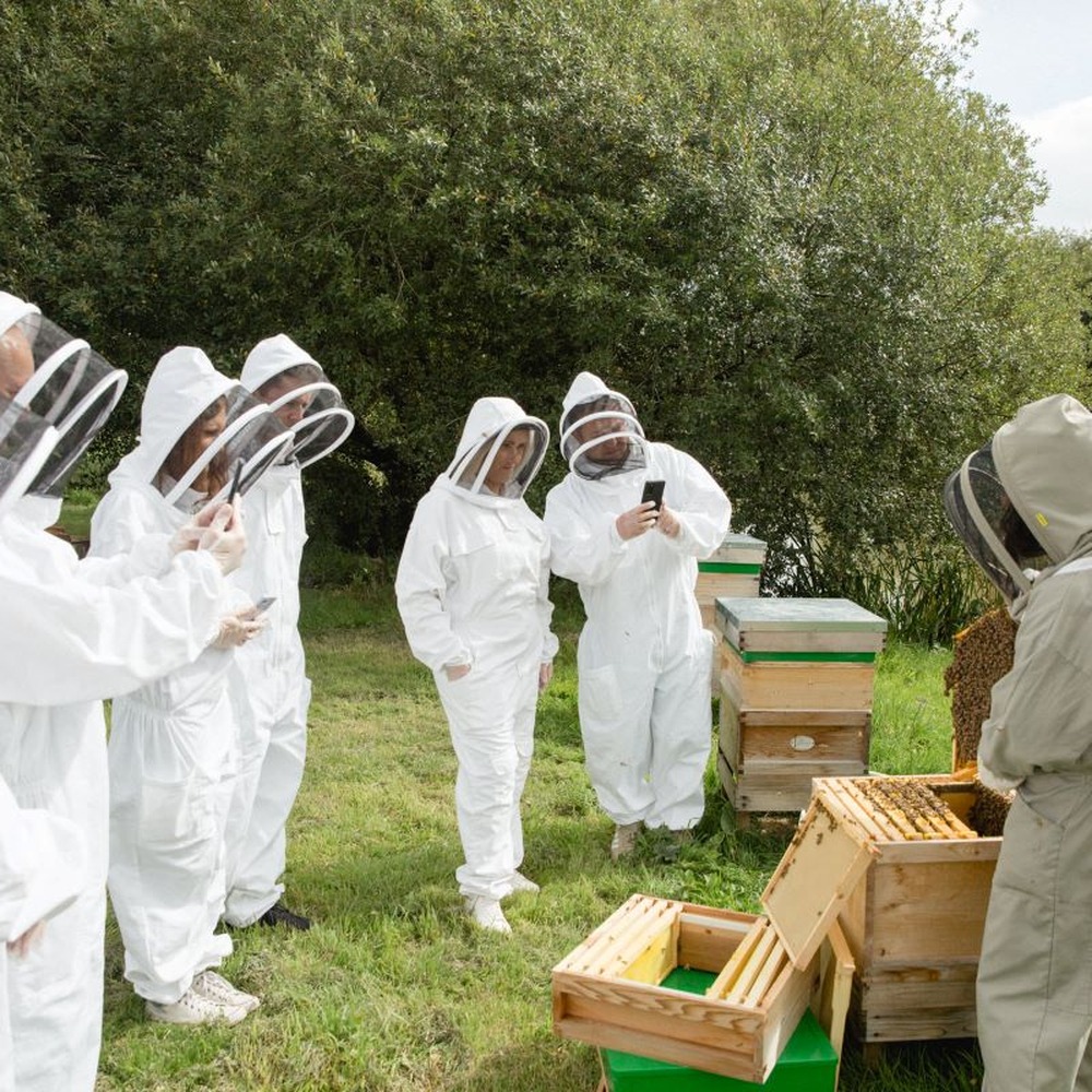 Virgin Experience Days Hiver's Beekeeping Taster With Honey Tasting For Two