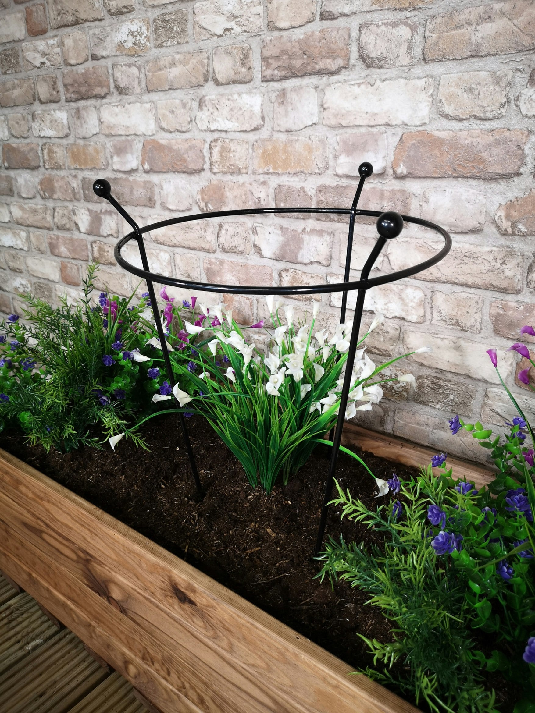 Rackhams Black Tom Chambers Cottage Heavy Duty Metal Steel Herbaceous Garden Plant Support Ring X 35Cm - Plant Supports 60Cm
