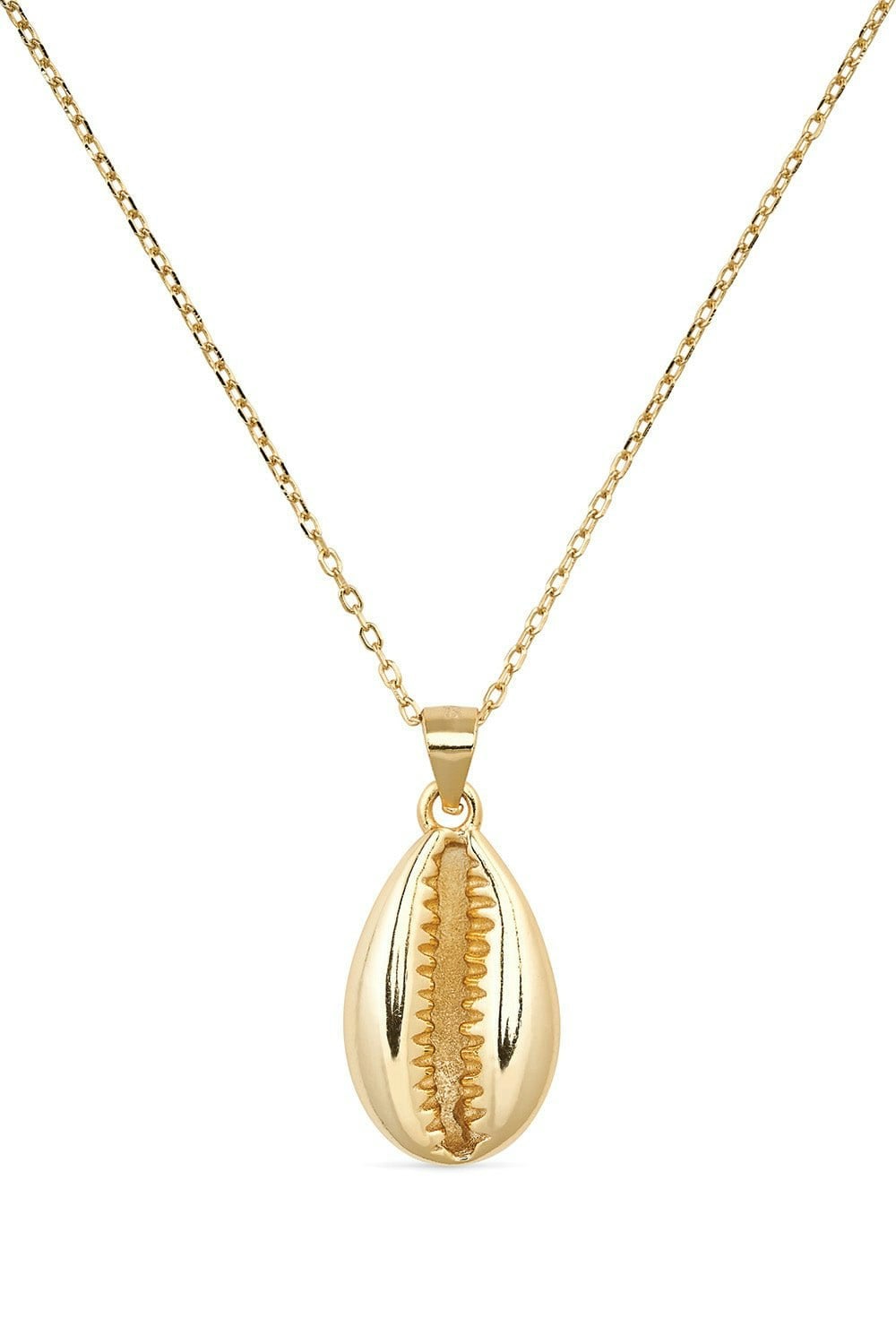 Elk & Bloom Gold Dainty 14K Cowrie Shell Clam Necklace - 44Cm Full Necklace - No Thank You