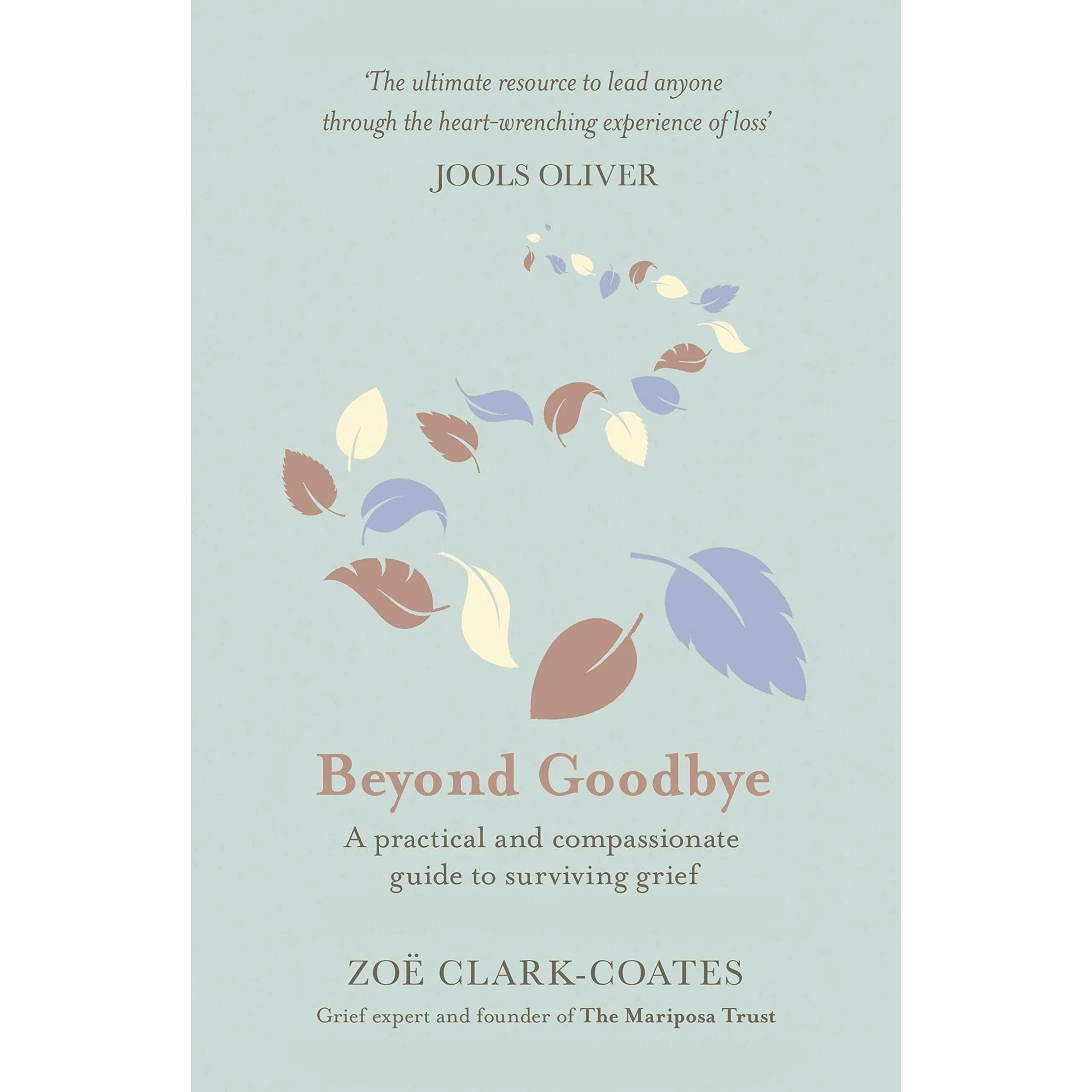 Orion Beyond Goodbye: A Practical And Compassionate Guide To Surviving Grief, With Day-By-Day Resources To Navigate A Path Through Loss By Zoe Clark-Coates