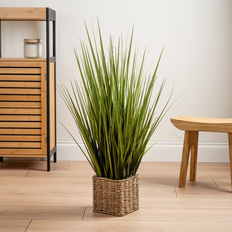 Scottish Everlastings Green 85Cm Grass In Seagrass Square Pot