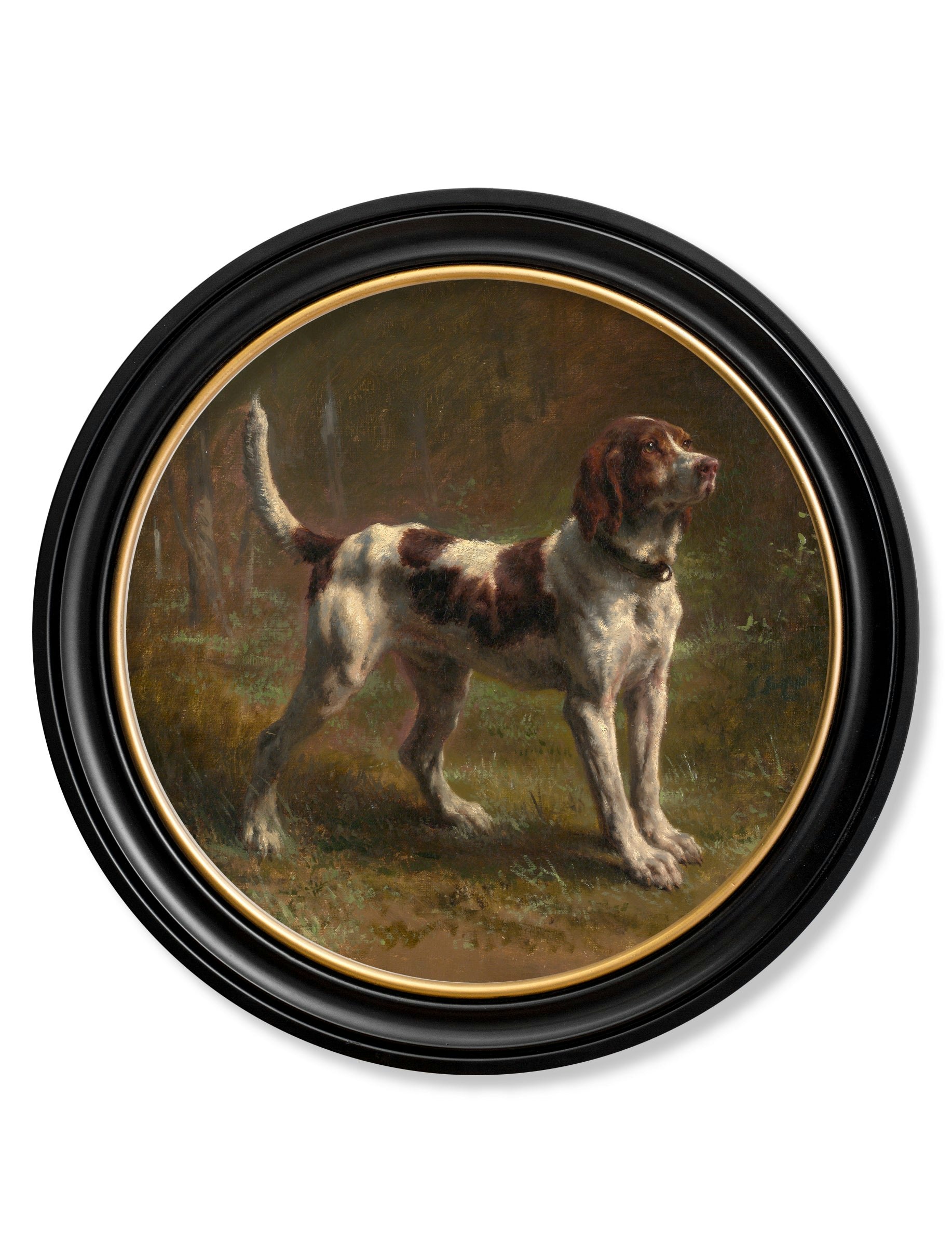 Rackhams C.1856 Beagle Bloodhound - Round Frame - 70 X 70Cm - Oxford Round