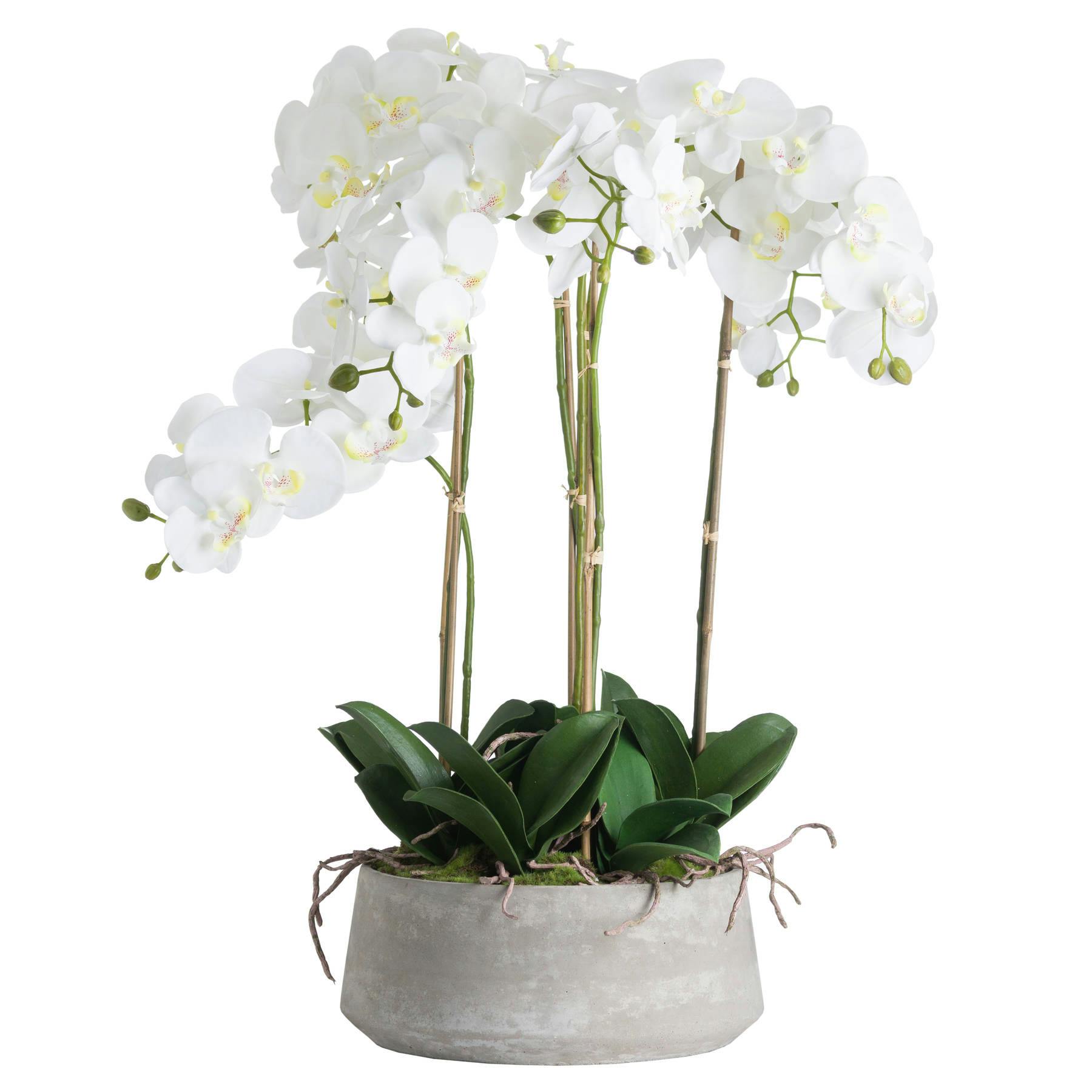 Hill Interiors White Orchid In Stone Pot - One Size - 100% Plastic