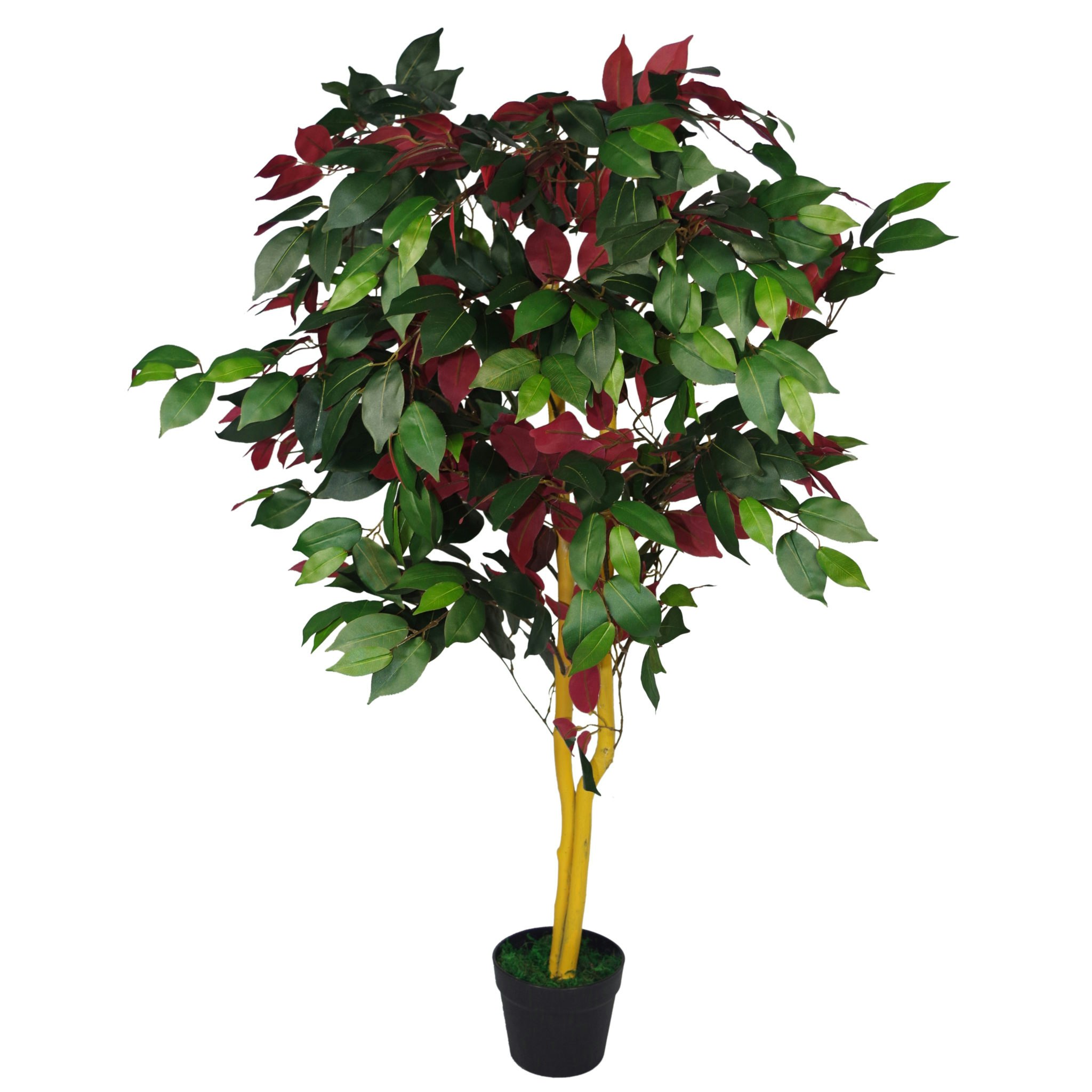 Leaf Green/Red (4Ft) Artificial Capensia Tree Ficus Plant - 120Cm