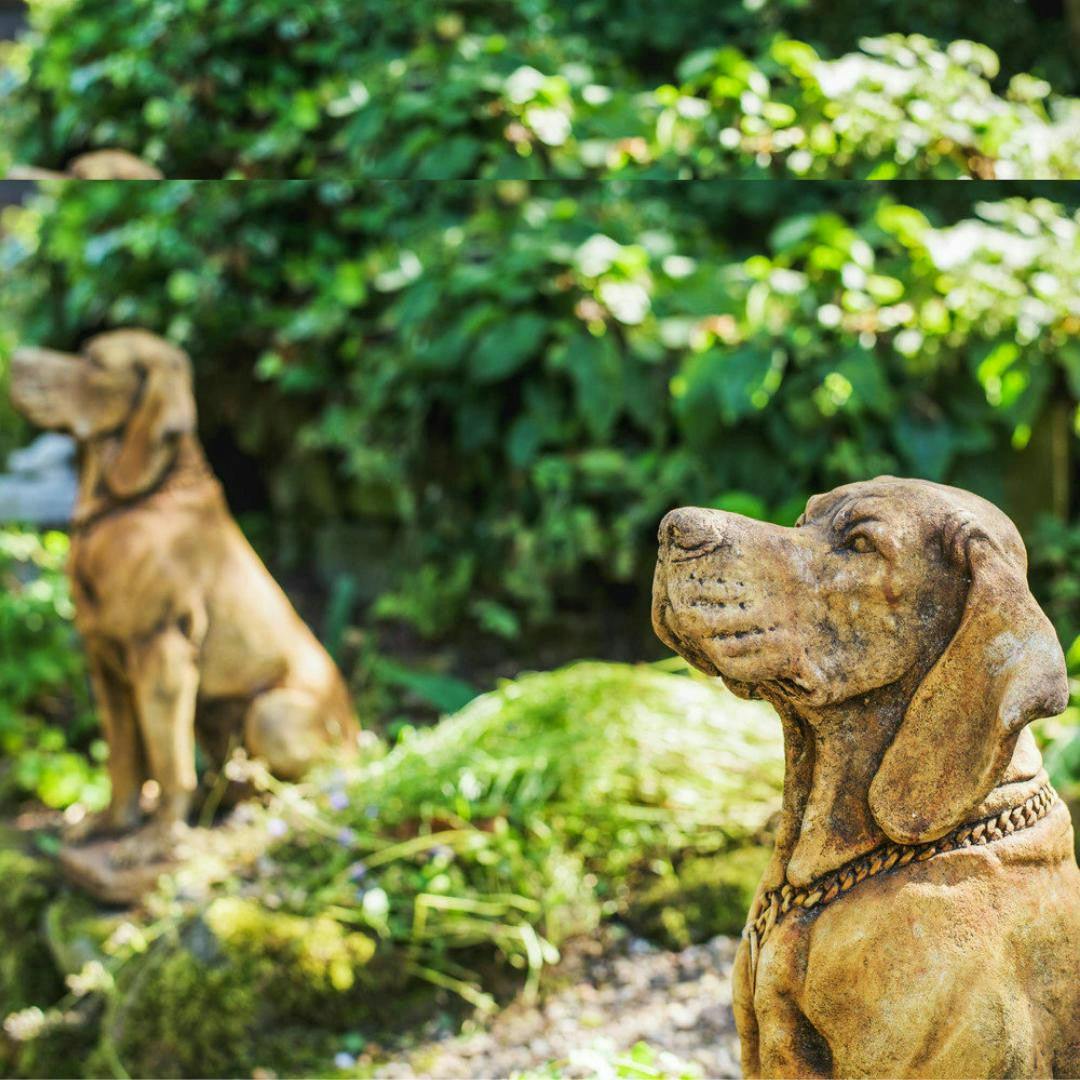 Rackhams Pair Of Life Size Hound Statues