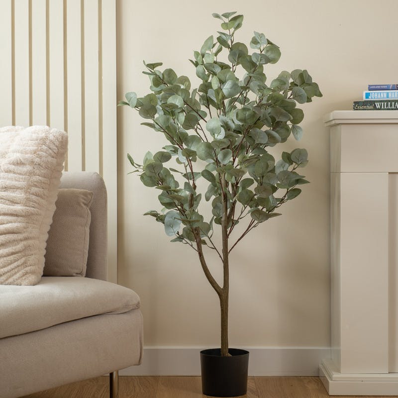Scottish Everlastings 120Cm Eucalyptus Tree