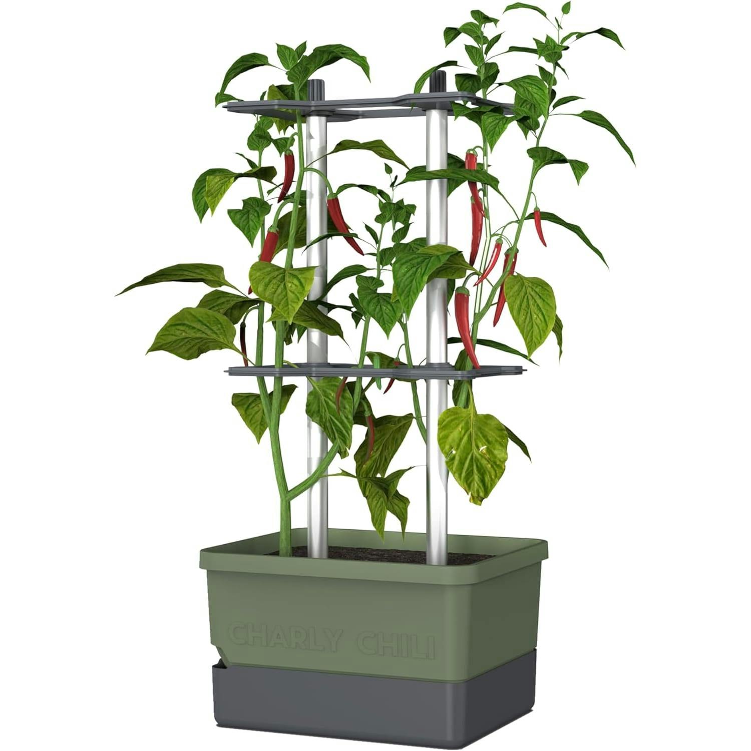 Rackhams Dark/Green Charly Chili Chili Pot With Water Tank & Climbing System - 20 Litres