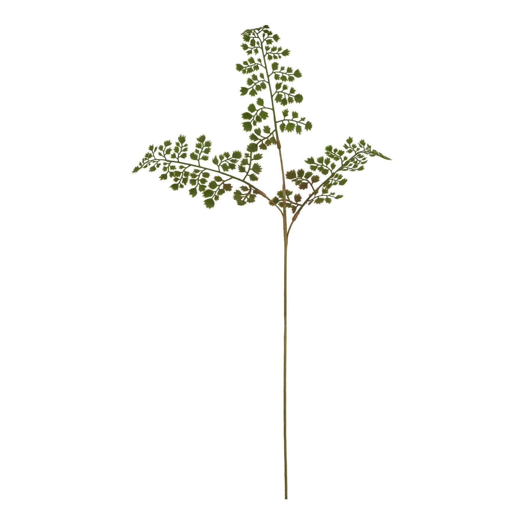 Hill Interiors Green The Natural Garden Collection Maidenhair Fern Artificial Flower - One Size - 100% Mixed