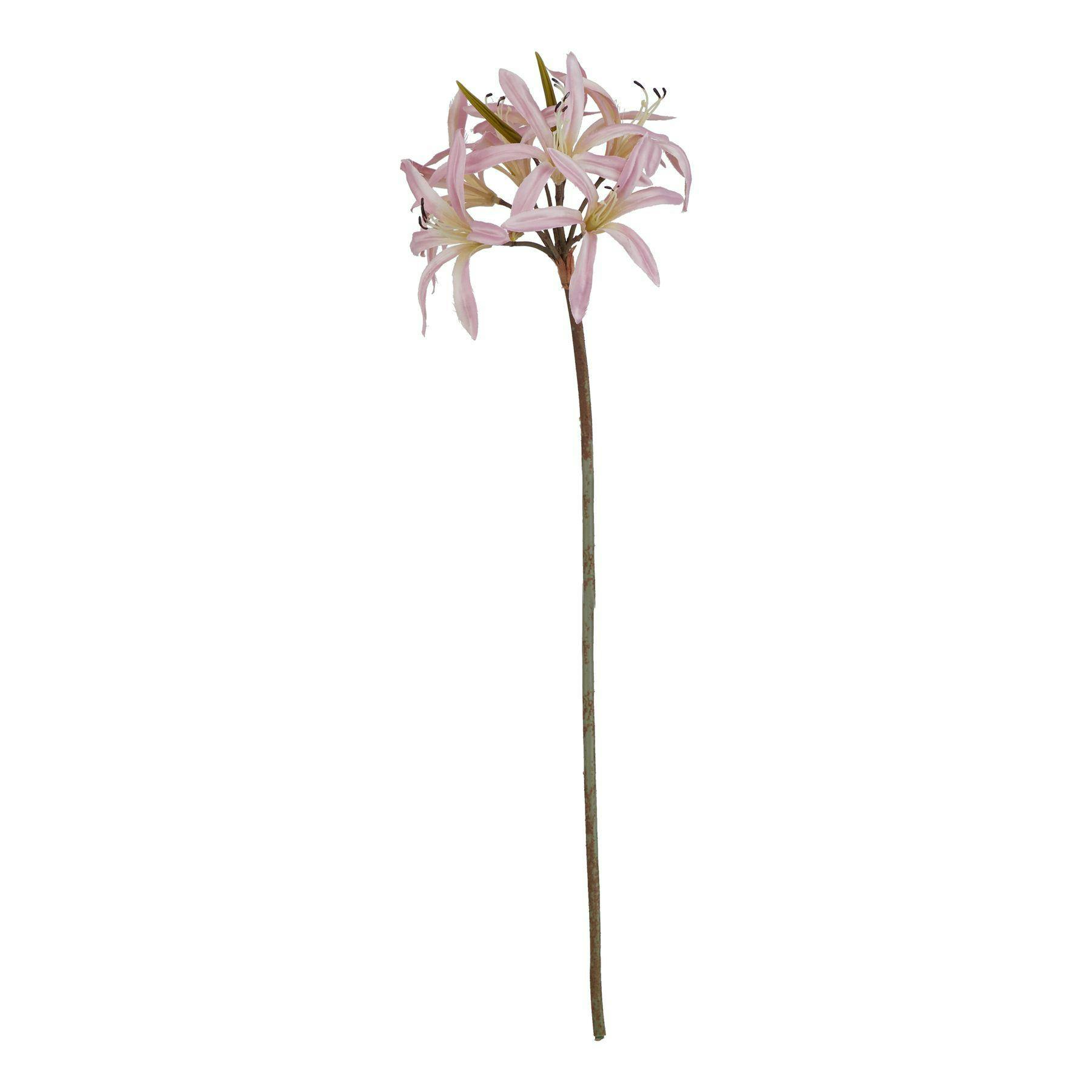 Hill Interiors Pink/Green The Natural Garden Collection Lily Stem Artificial Flower - One Size