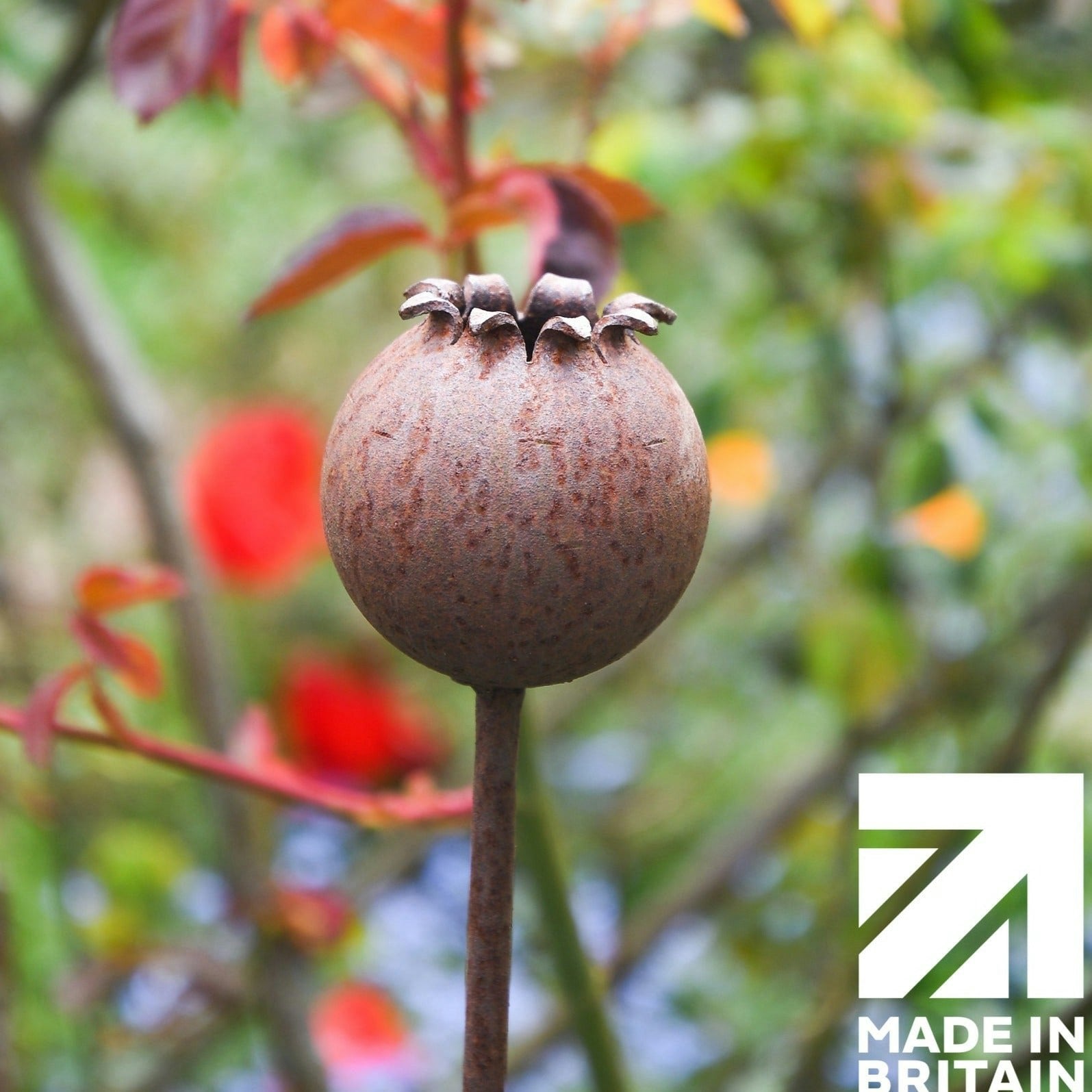 Rackhams Orange Rusty Metal Poppy Seedhead - Metal Garden Flower Sculpture - Garden Decor - Three Sculptures