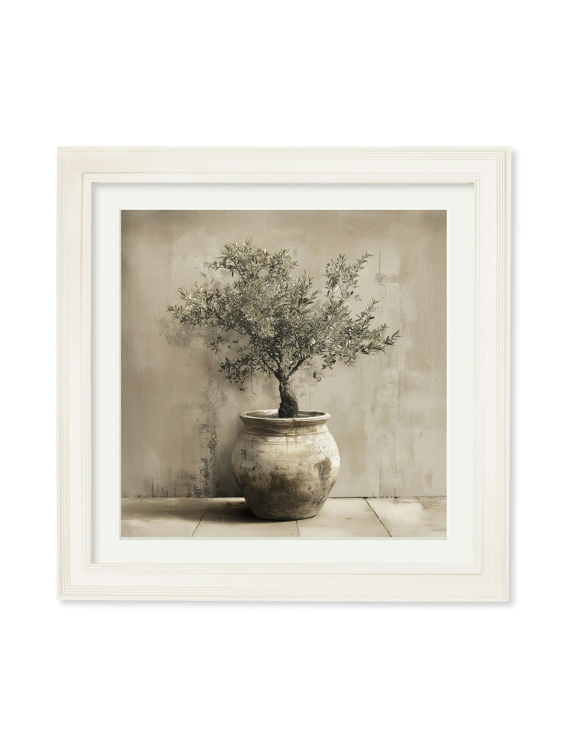 Rackhams Cream The Olive Tree - Hurstwood Square Frame - The Olive Tree - 70 X 70Cm