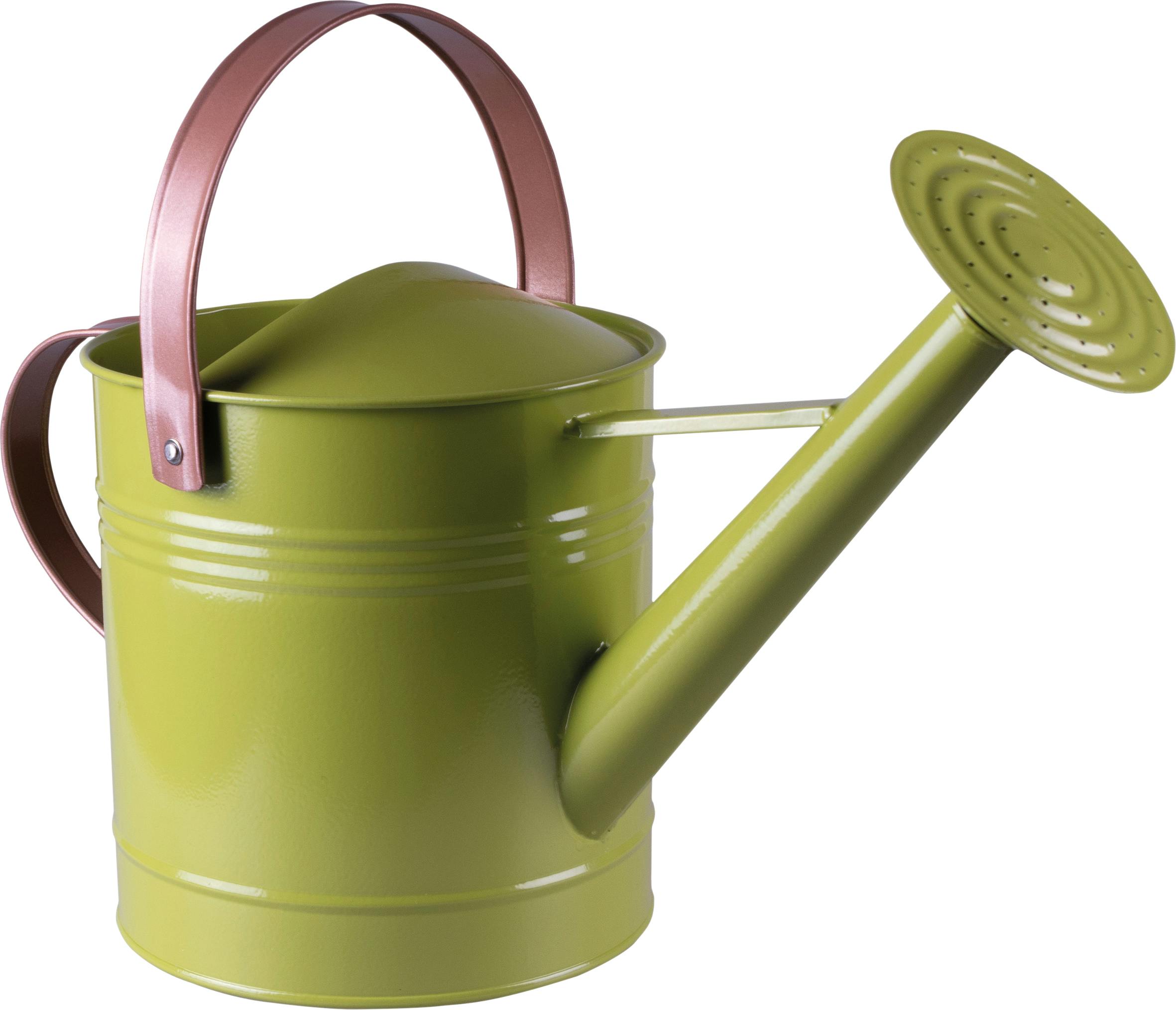 Rackhams Green Metal Watering Can With Sprinkler Nozzle And 4.5 Litre Capacity