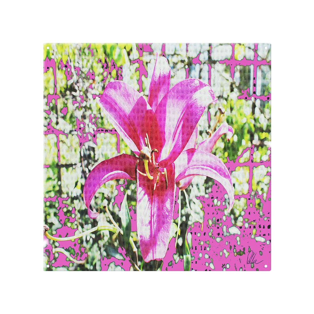 Benjamin Tate Design Pink Flower Splash Back - Size 60 X 50Cm