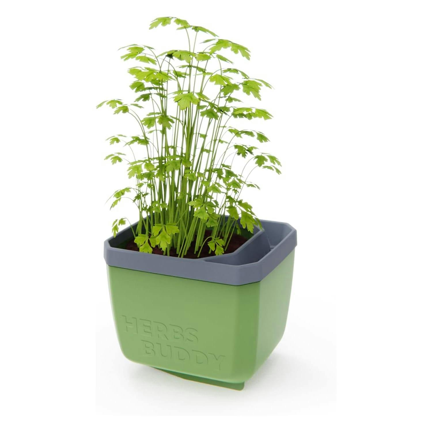 Rackhams Dark/Green Herbs Buddy Herb Pot With Water Reservoir - 1 Pc
