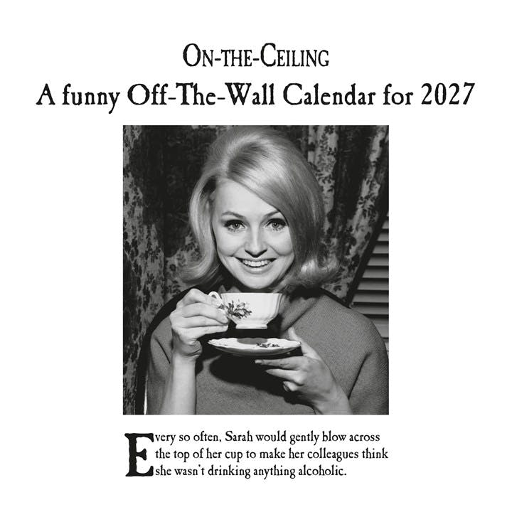 On the Ceiling 2027 Square Wall Calendar Official Licensed Humorous | 2026 - Image 7