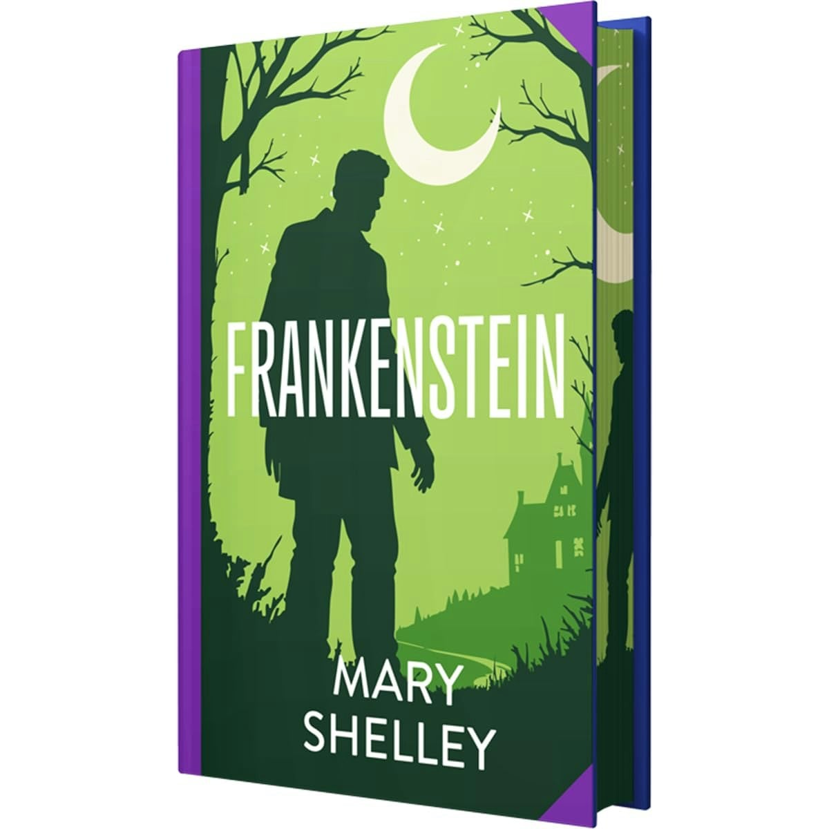 Frankenstein by Mary Shelley  Classic Gothic Horror Hardback Novel Book | TODO - Image 15