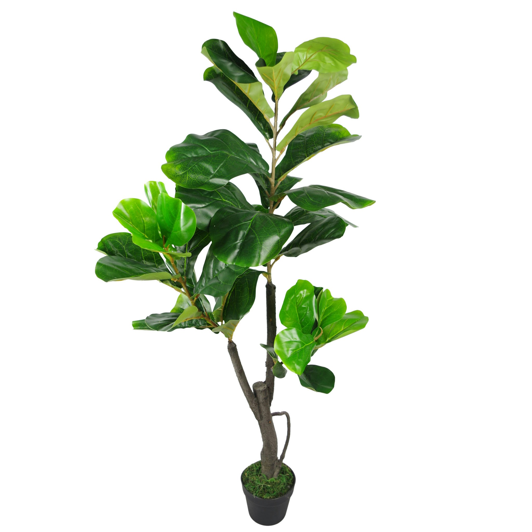 Leaf Green 120Cm (4Ft) Large Artificial Fiddle Fig Tree Ficus Lyrata Plant - 120Cm - 120Cm