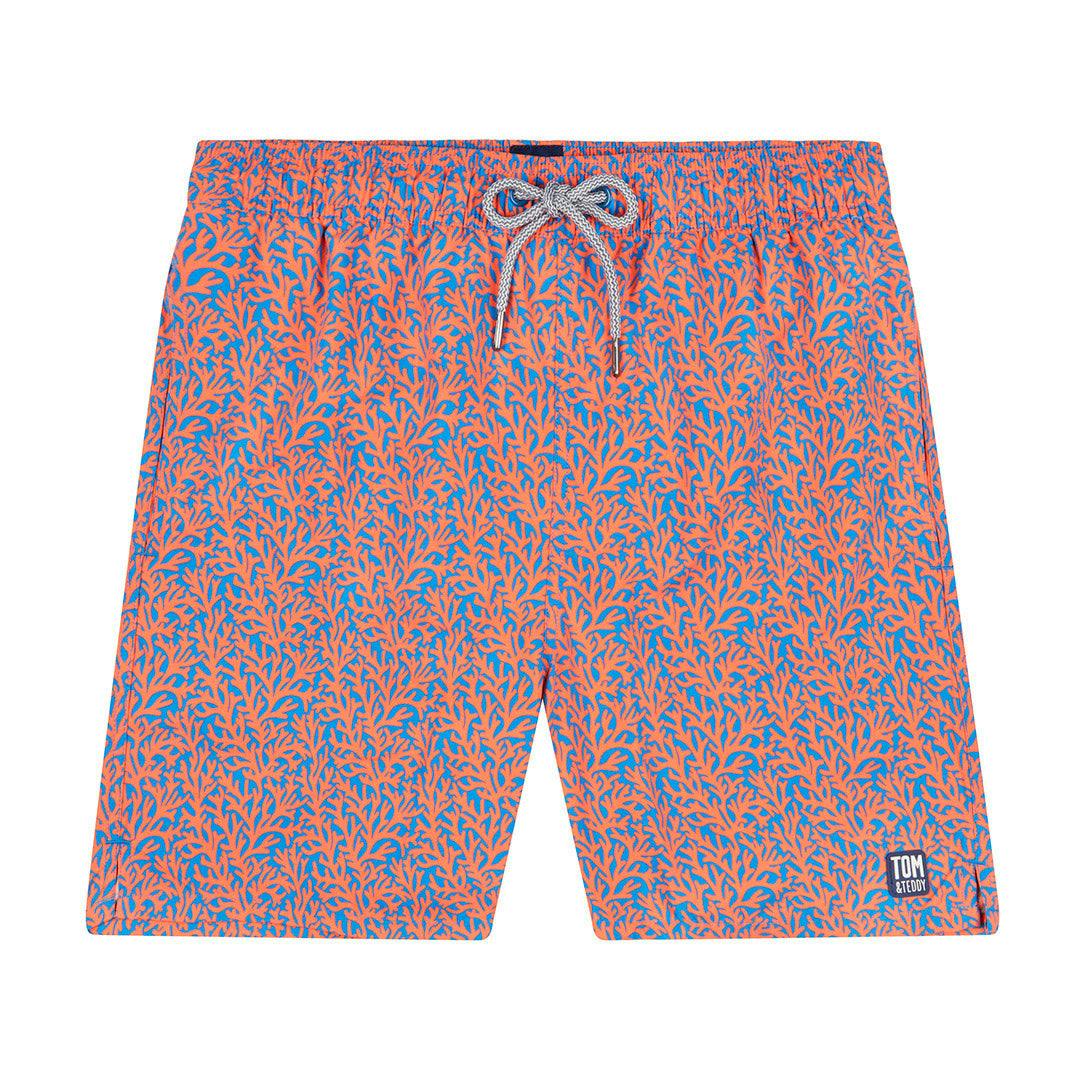 Tom & Teddy Blue/Orange/Coral Mid & - Xl