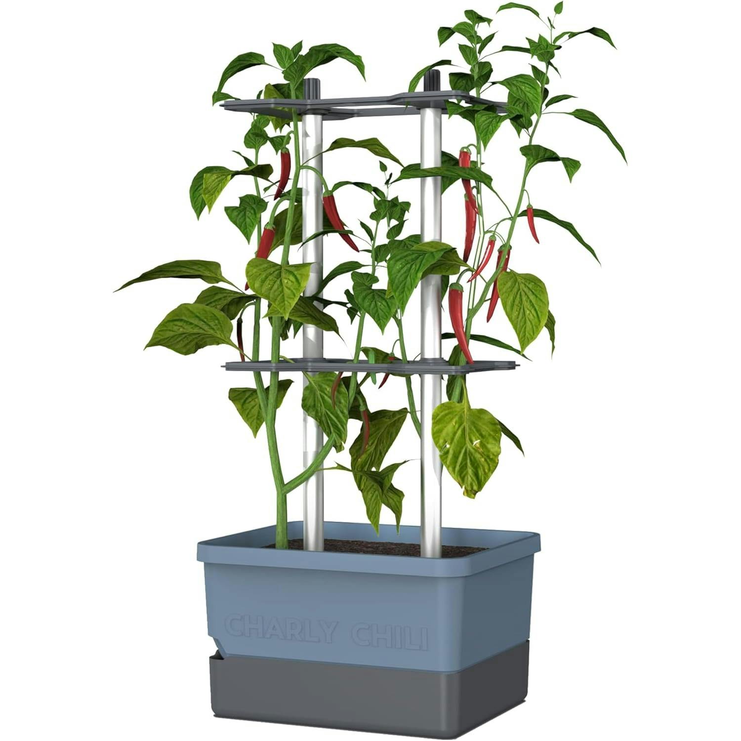 Rackhams Blue Charly Chili Chili Pot With Water Tank & Climbing System - 20 Litres