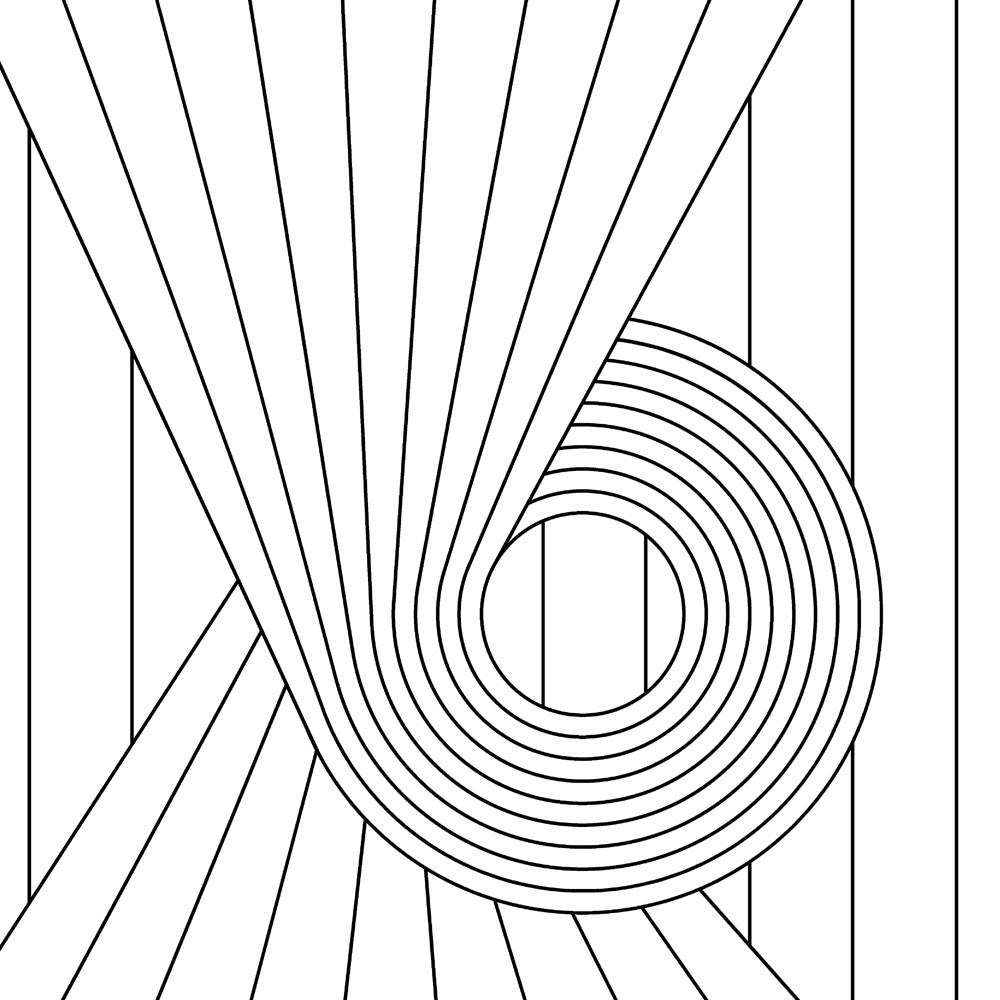 Erica Wakerly Black/White Spiral And Wallpaper - 10M Roll