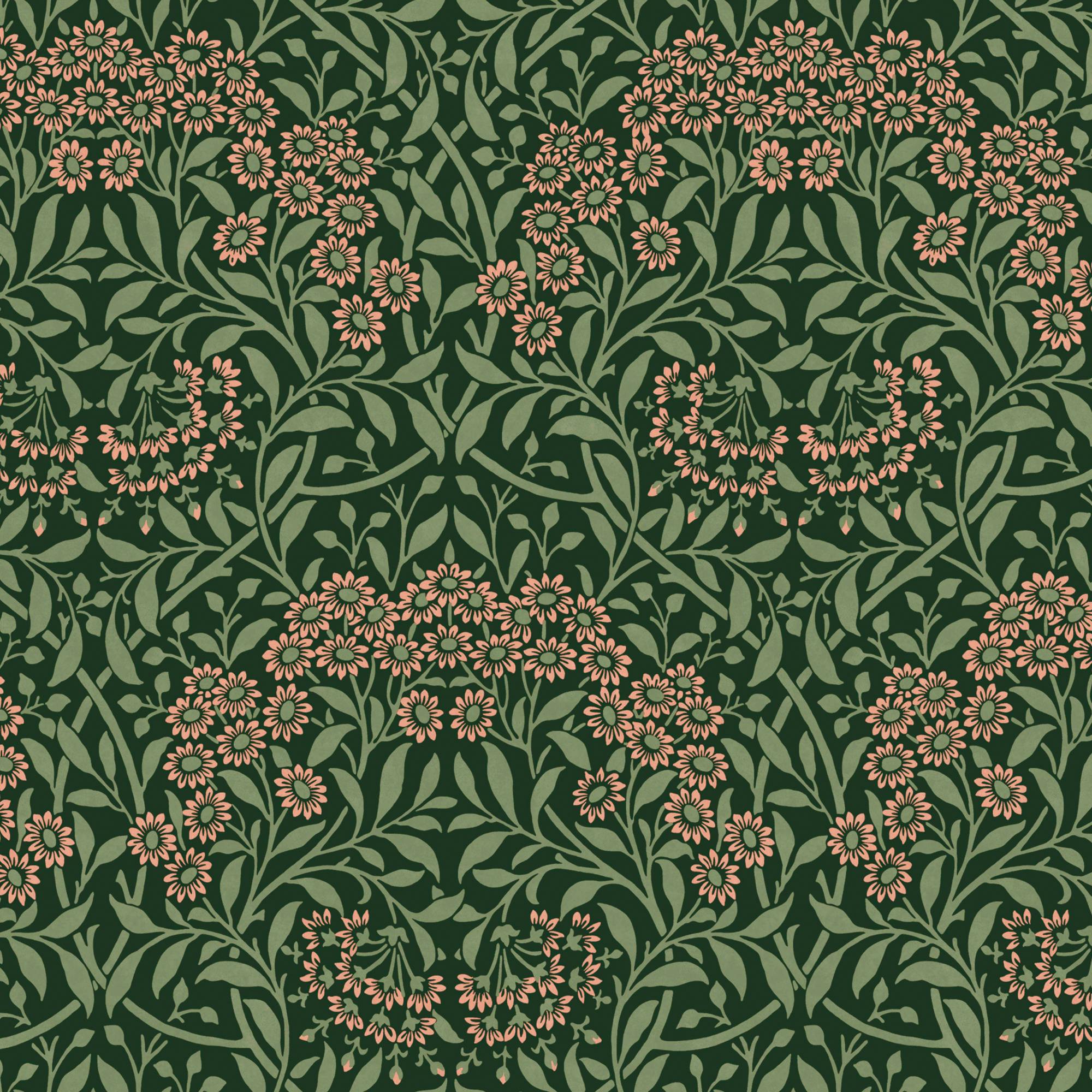 Photos - Wallpaper Rackhams Michaelmas Daisy  | Forest