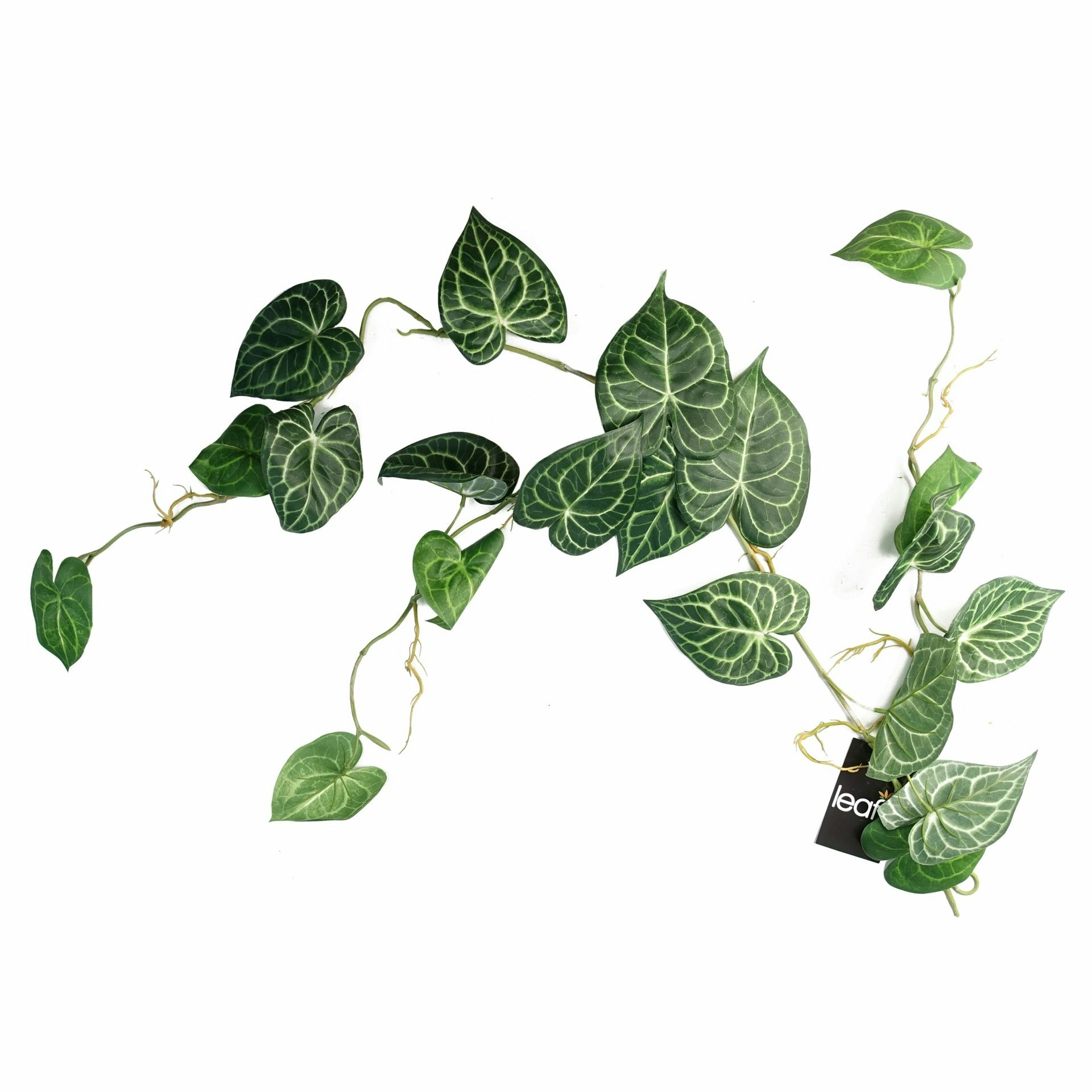 Leaf Green 100Cm Artificial Trailing Hanging Rounded Ivy Plant Realistic - 100Cm - 100Cm