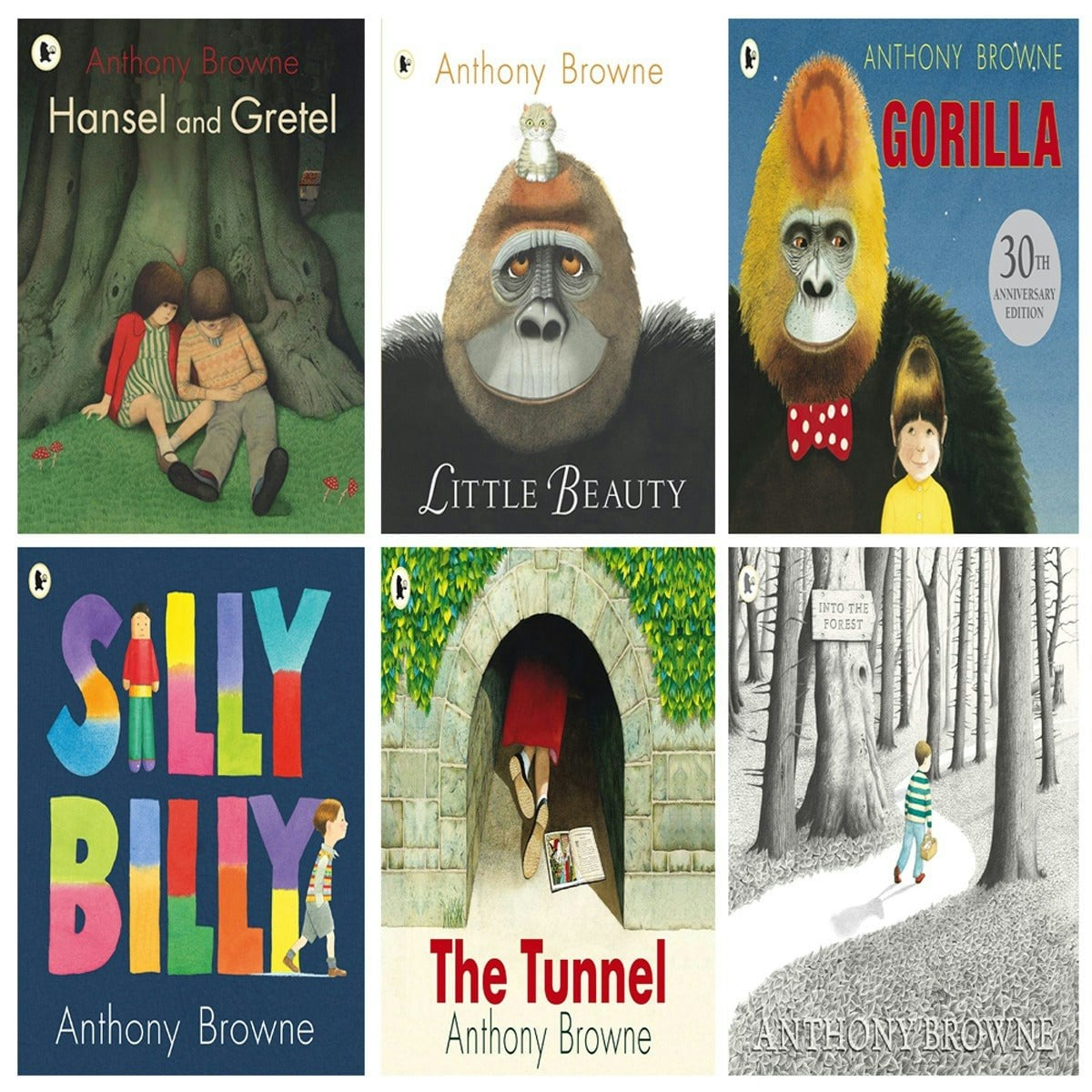 Walker Books Boys Anthony Browne 6 Book Set Hansel And Gretel, Into The Forest & More