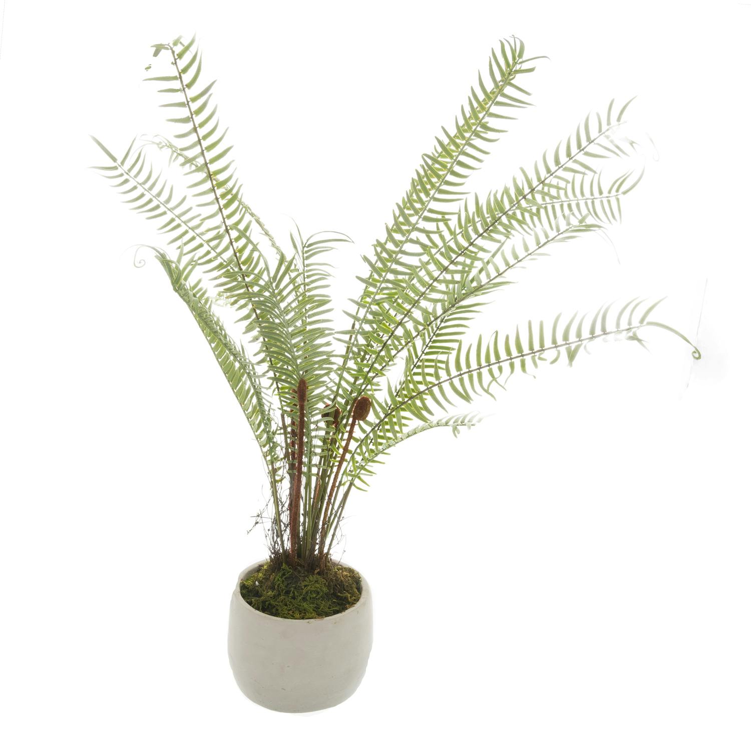 Hill Interiors Unisex Green Boston Fern Artificial Plant In - Image 3