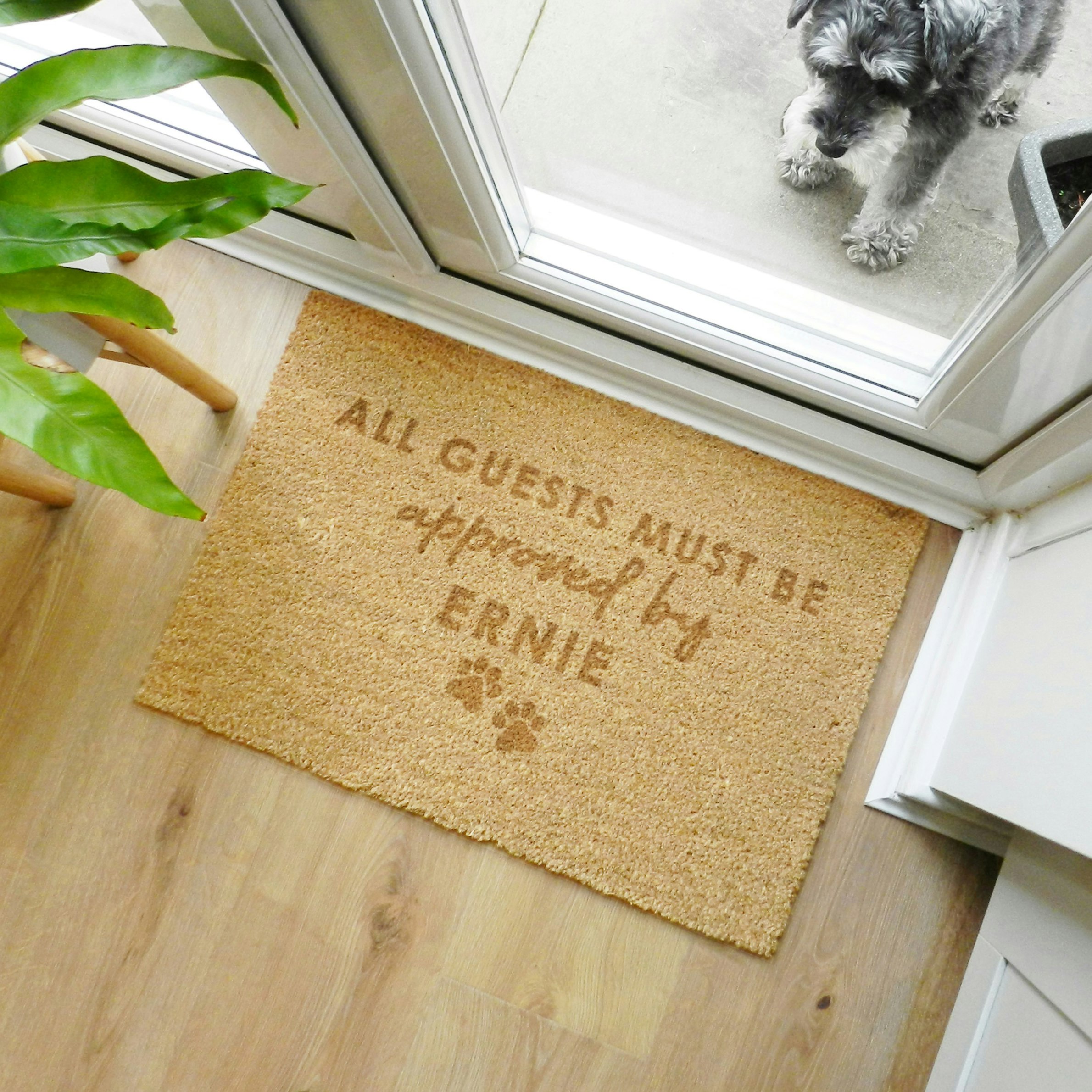 Rackhams Personalised Approved By The Pet Rectangle Indoor Doormat