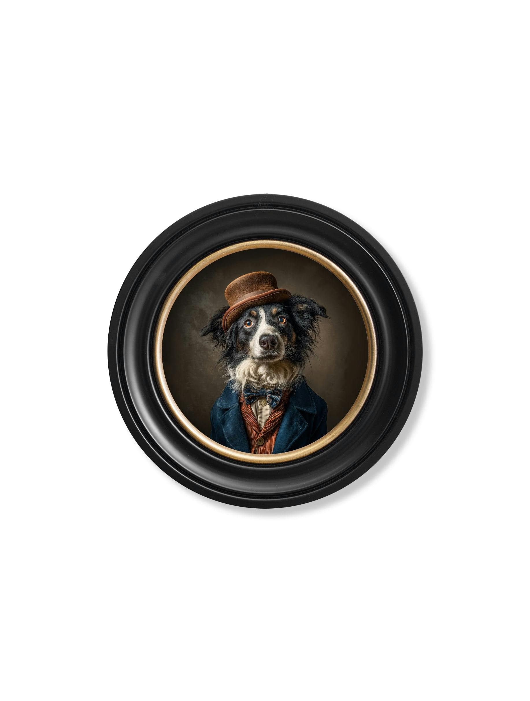 Rackhams Grey/Blue/Dark Lord Shearlock - Gentleman Border Collie Oxford Round Frame - 44 X 44Cm