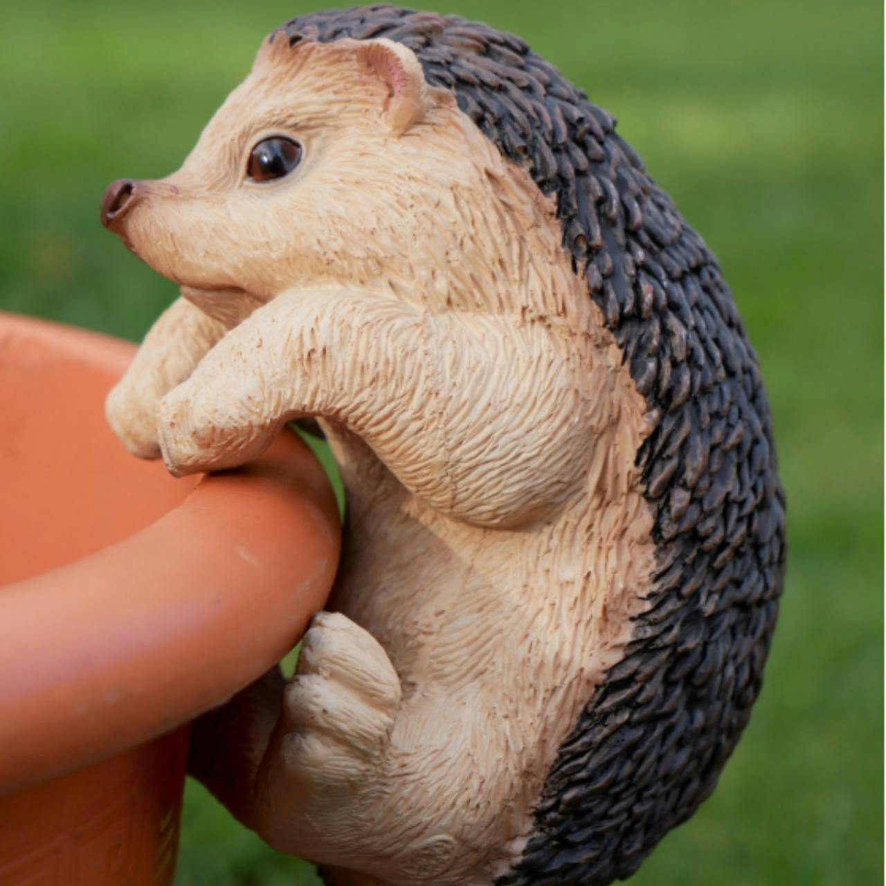 Dci Hedgehog Pot Hanger Ornament